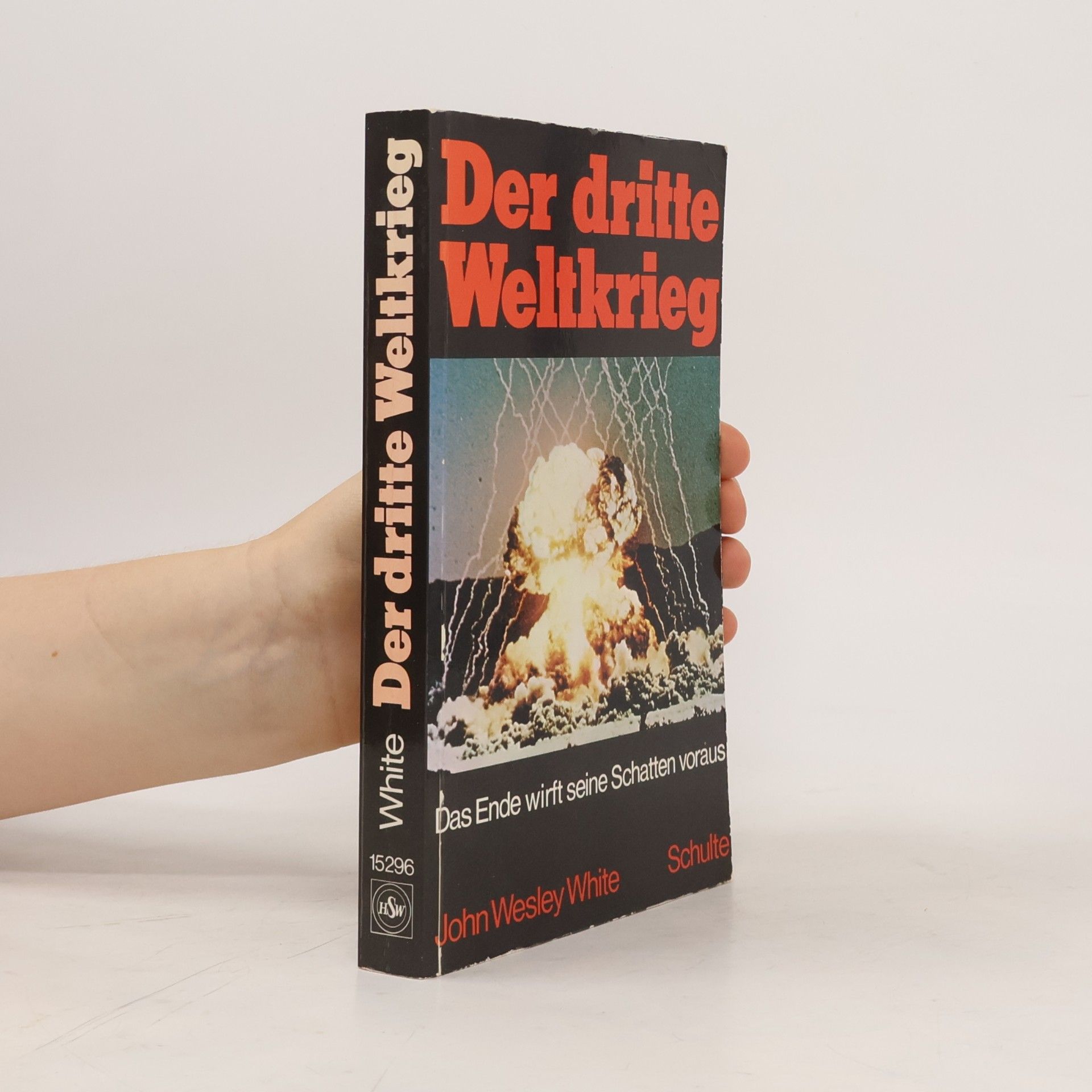 Schulte Der dritte Weltkrieg