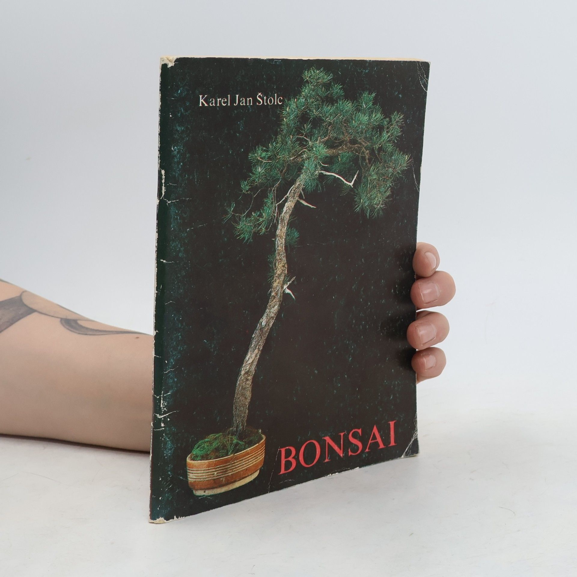 Karel Jan Štolc Bonsai