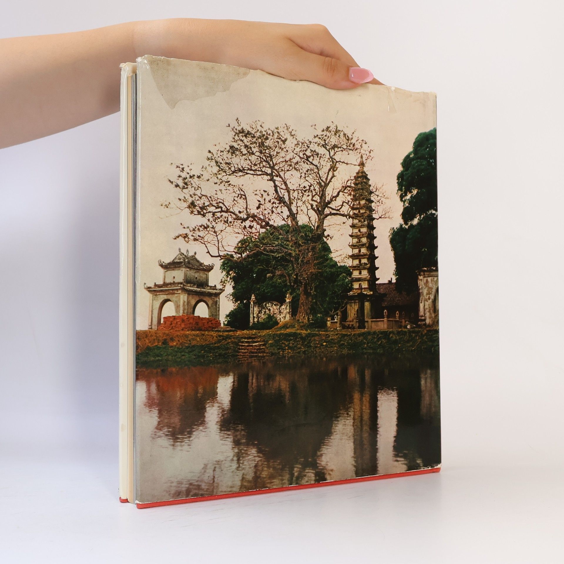 Autorenkollektiv L'art du Vietnam