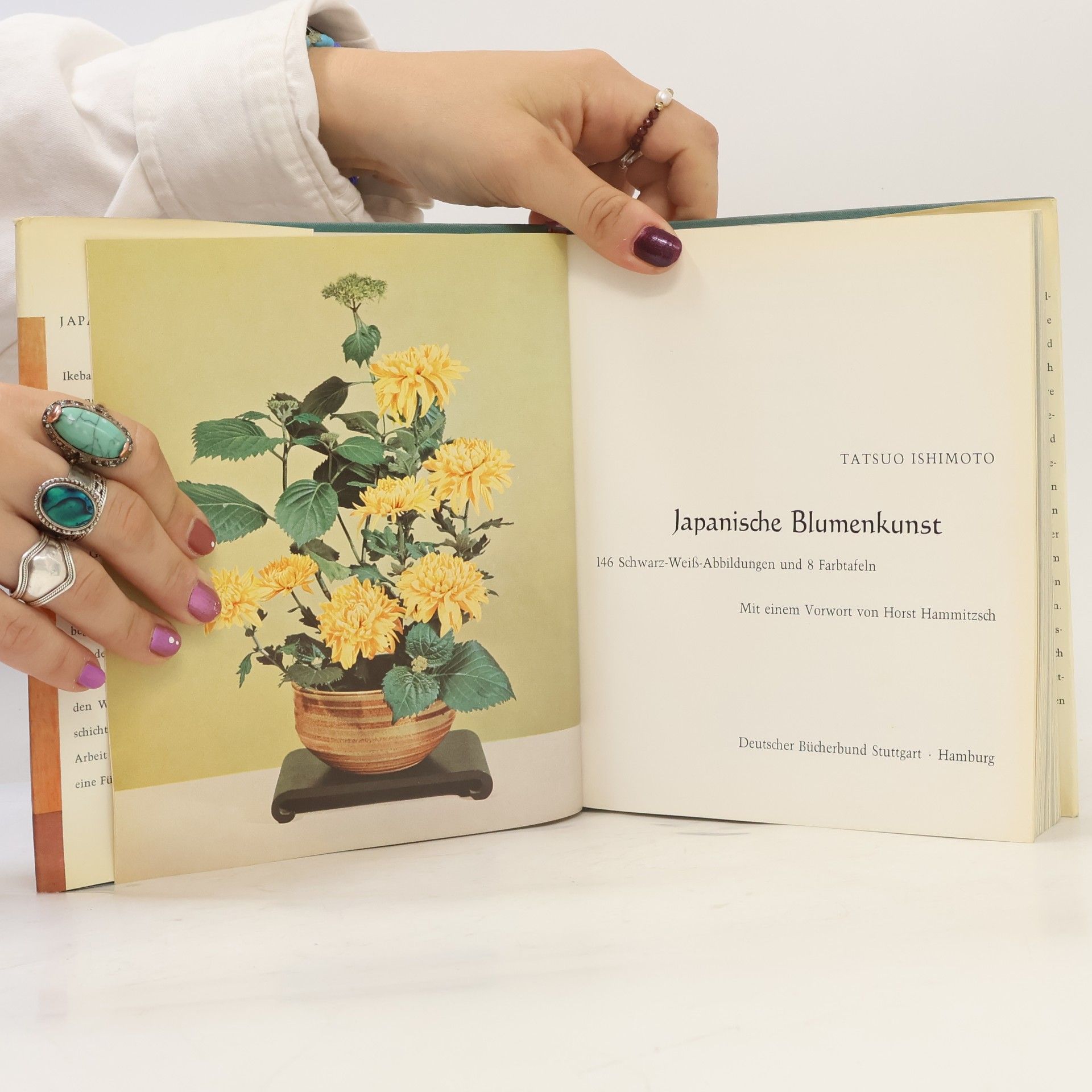 Tatsuo Ishimoto Japanische Blumenkunst