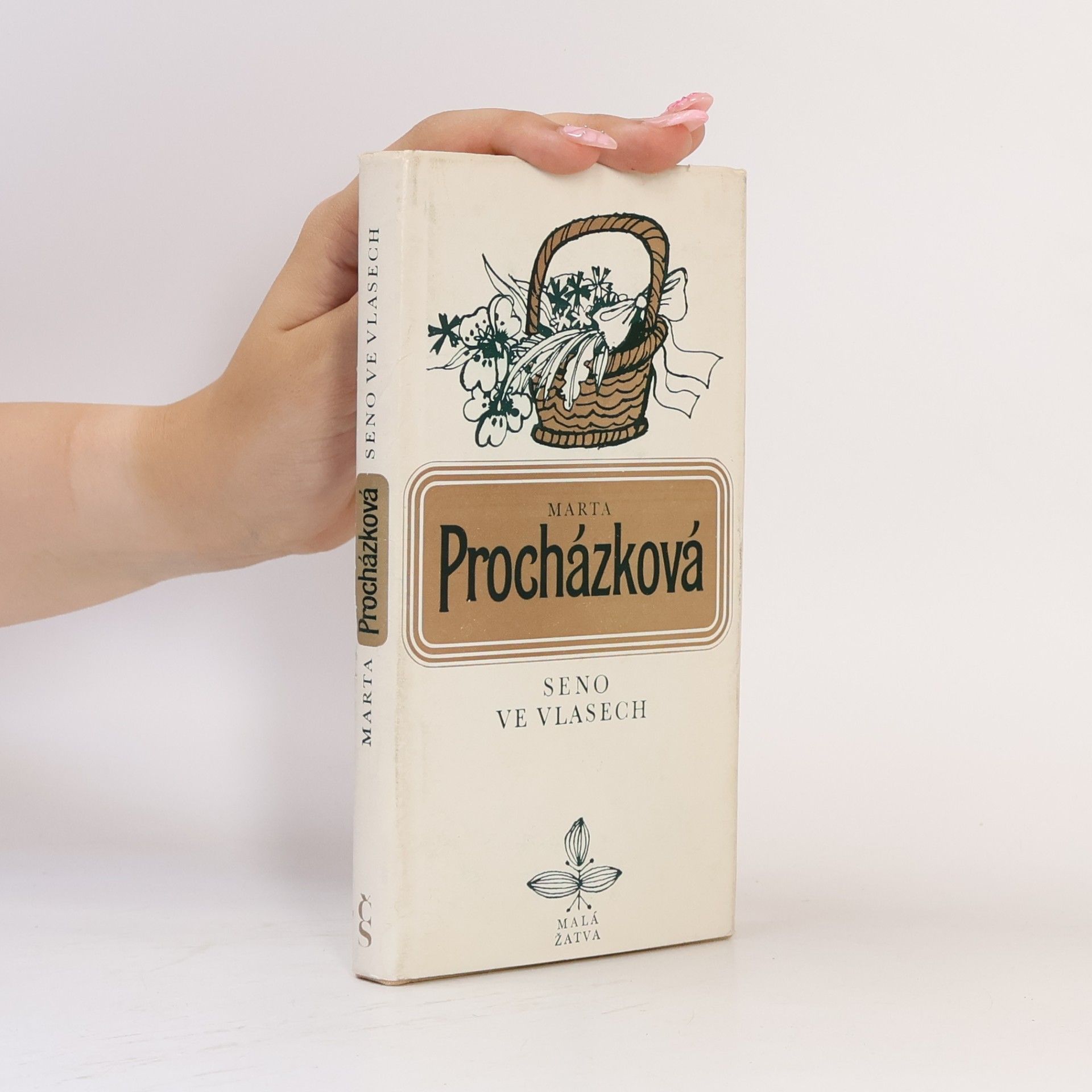 Marta Procházková Seno ve vlasech