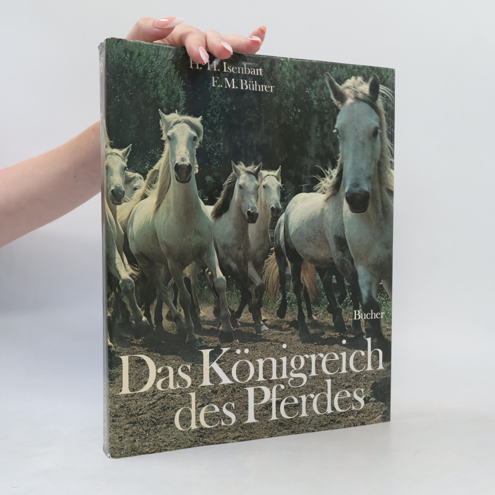 Hans Heinrich Isenbart Das Königreich des Pferdes