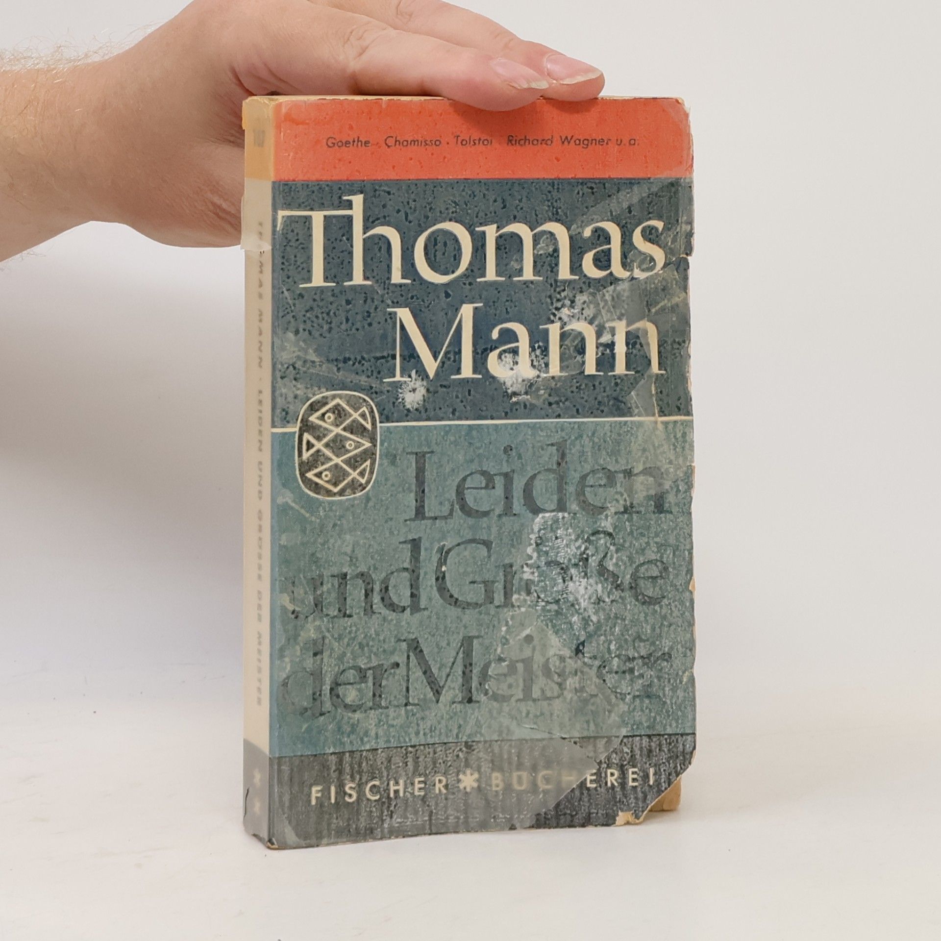 Thomas Mann Leiden und Größe der Meister