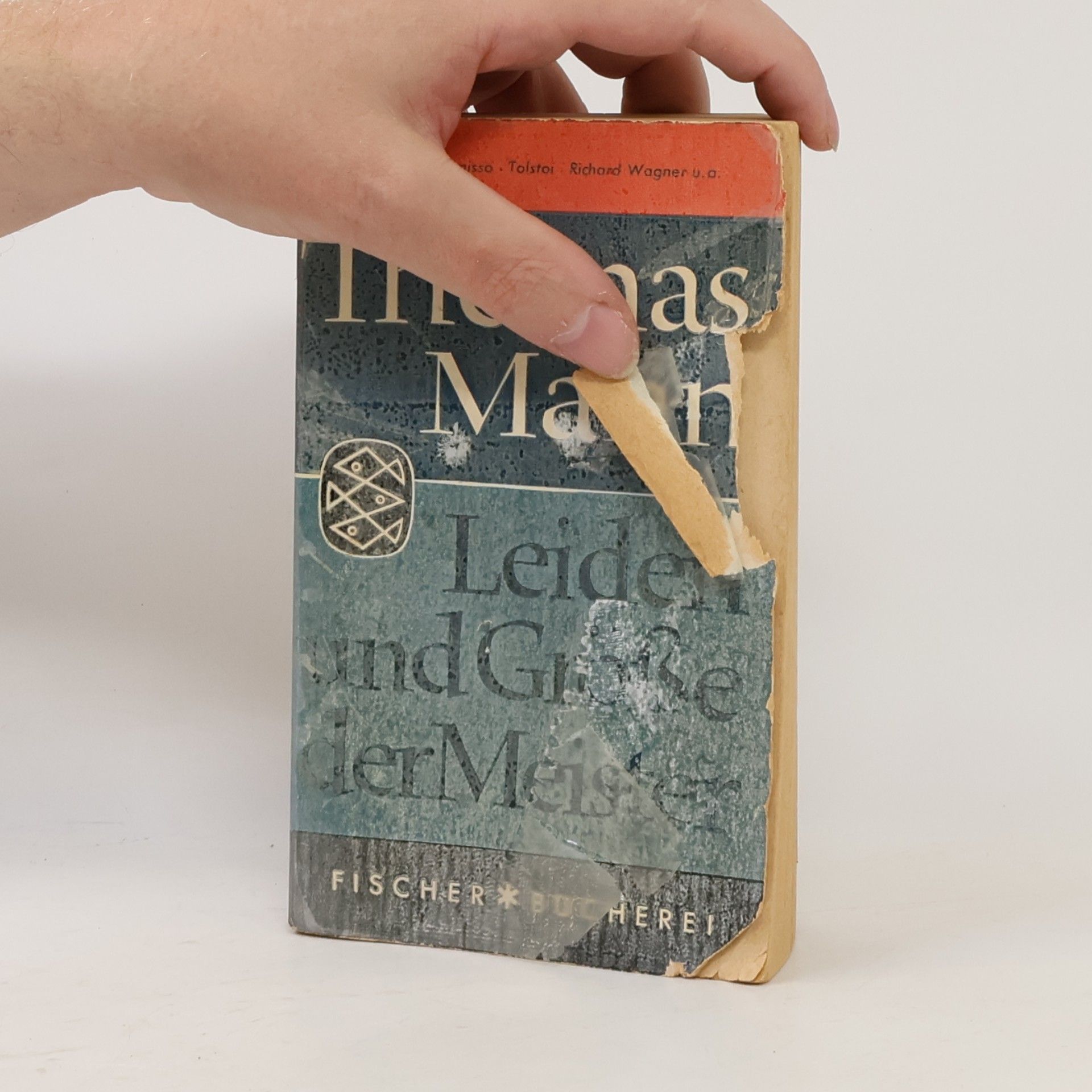 Thomas Mann Leiden und Größe der Meister