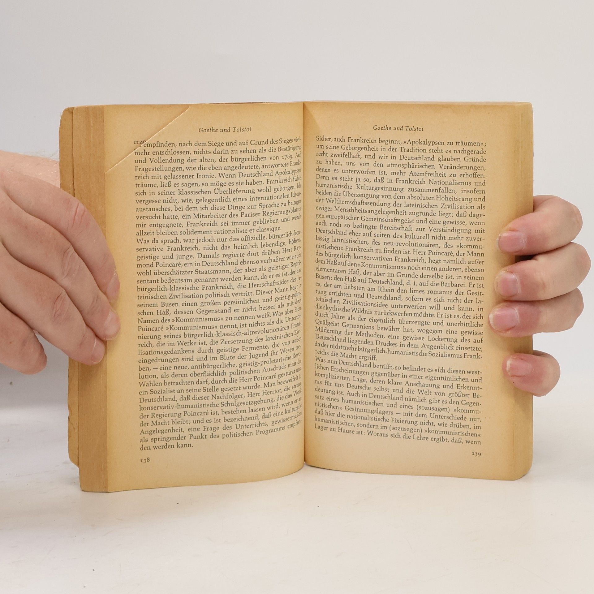 Thomas Mann Leiden und Größe der Meister