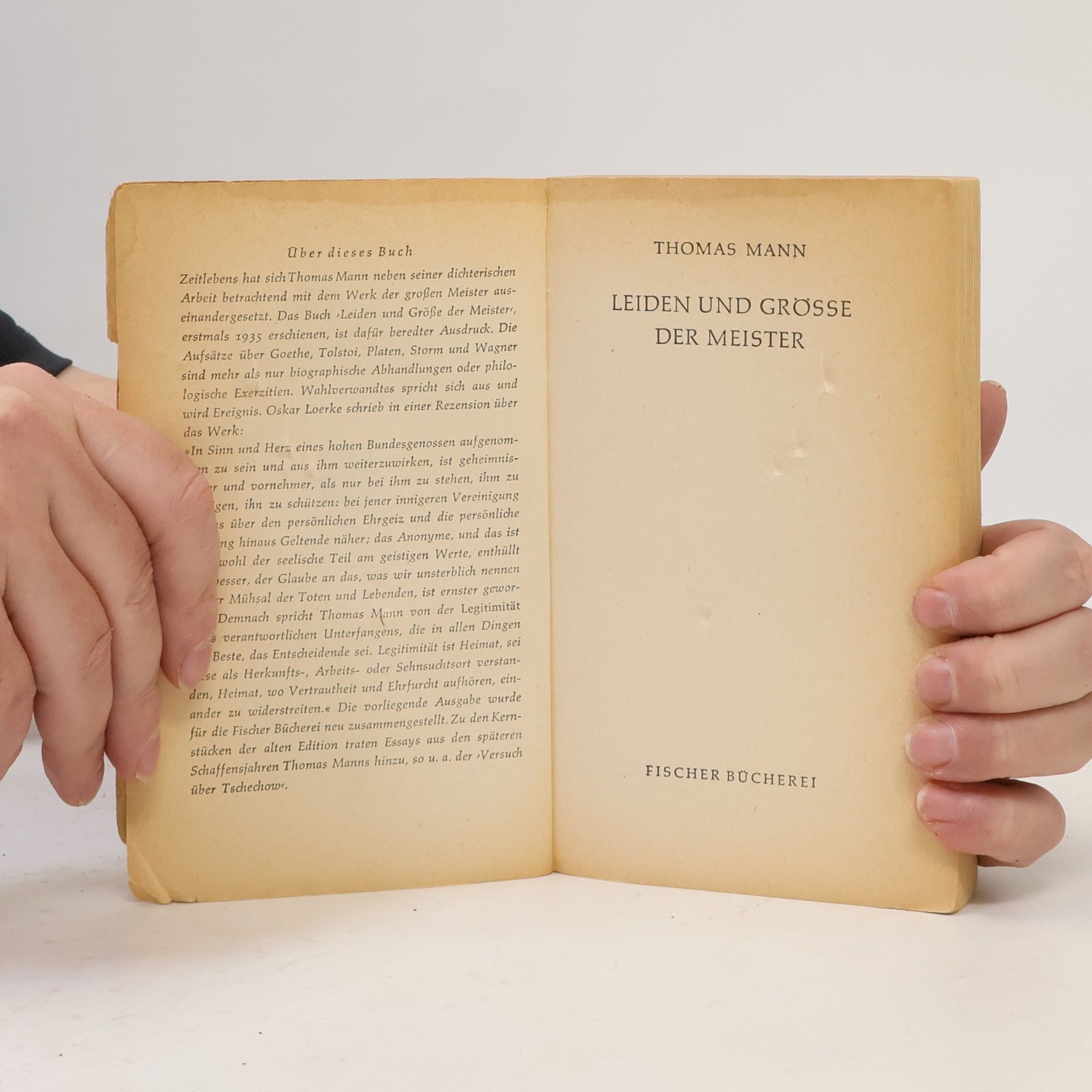 Thomas Mann Leiden und Größe der Meister