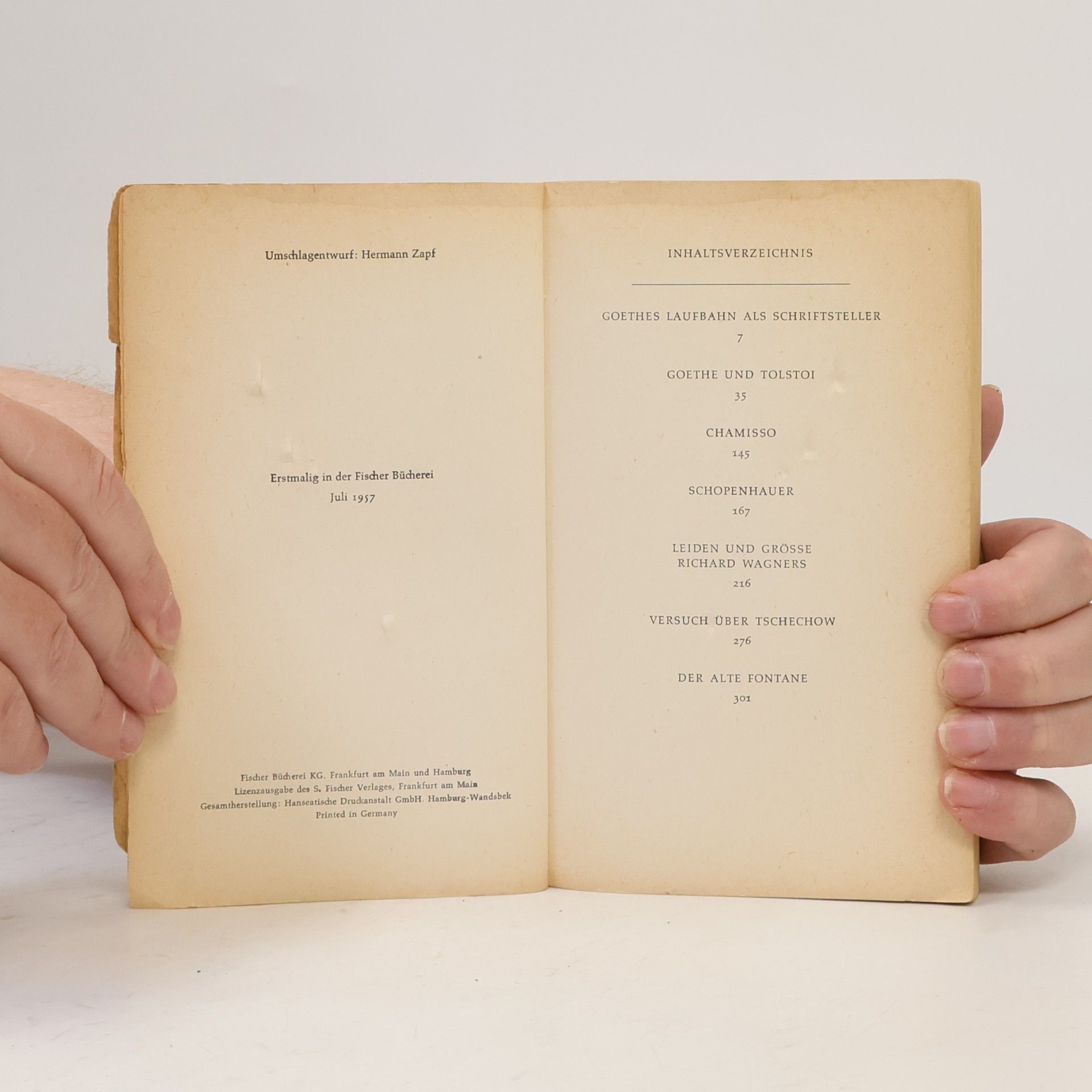 Thomas Mann Leiden und Größe der Meister
