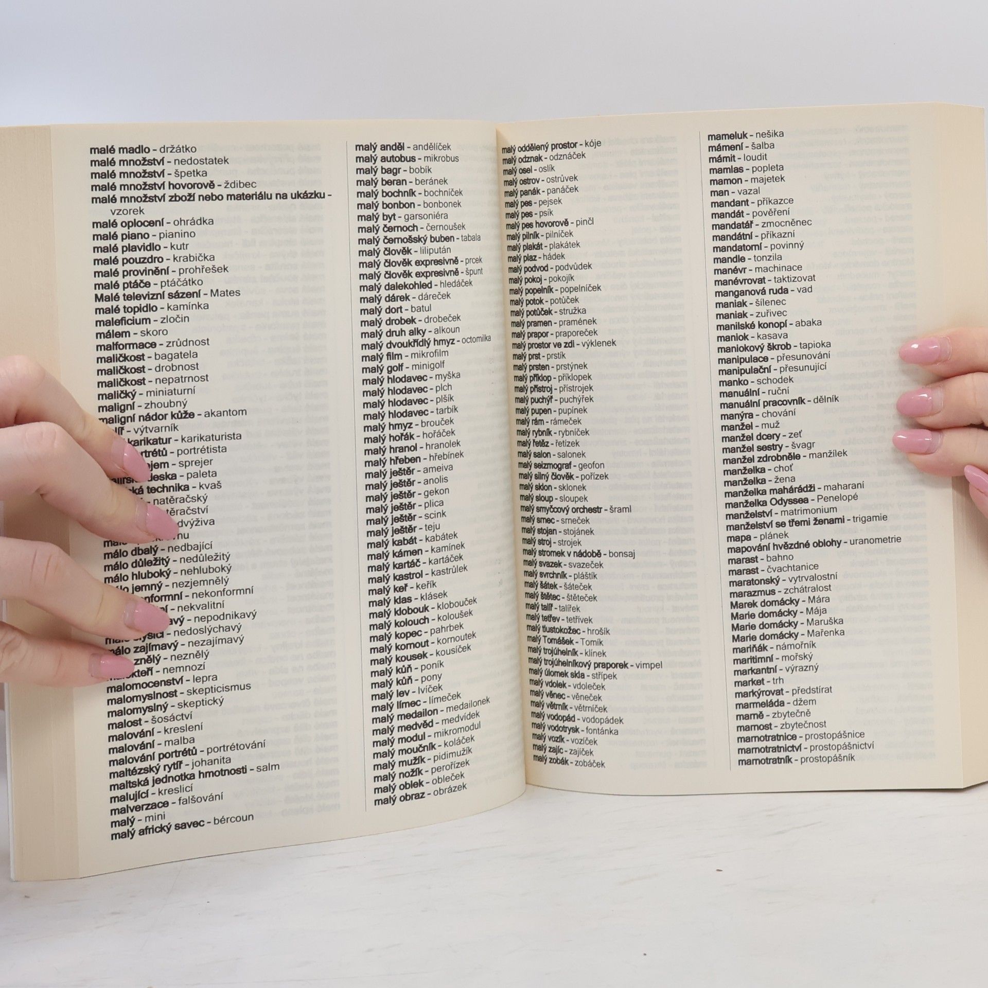Kolektiv autorů Křížovkářský mozek : 70 000 slov a hesel
