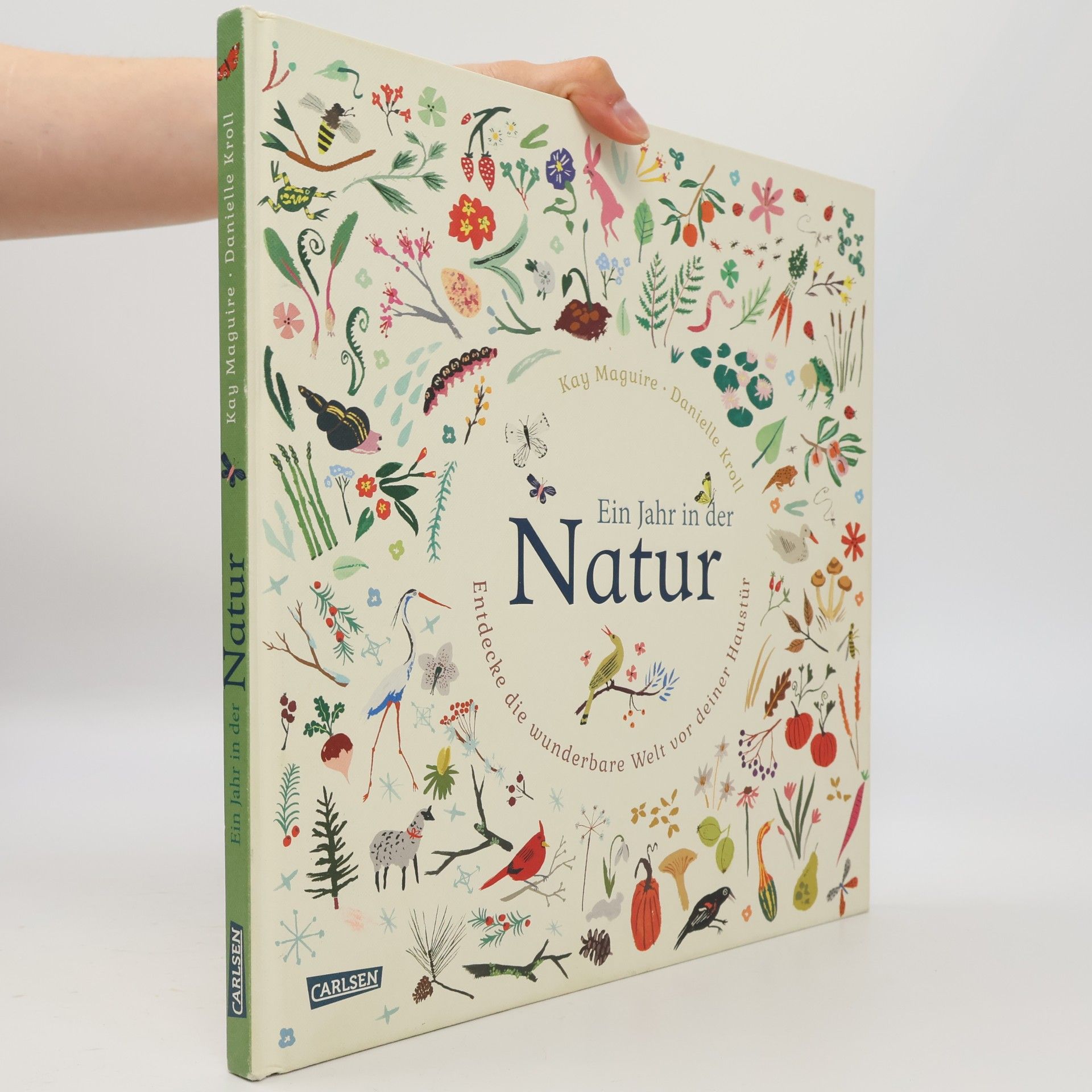 Kay Maguire Ein Jahr in der Natur