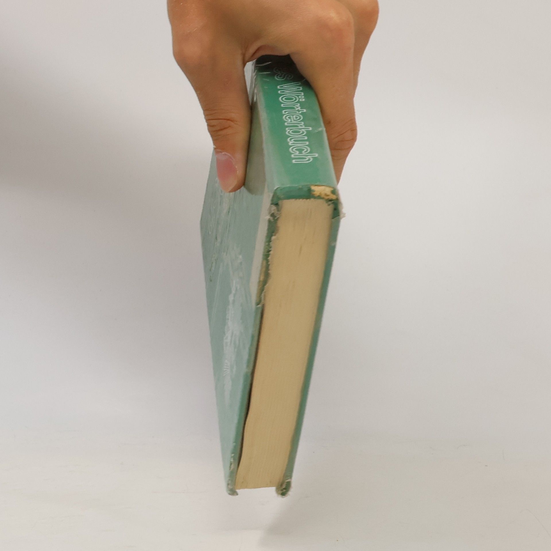 Autores varios Österreichisches Wörterbuch