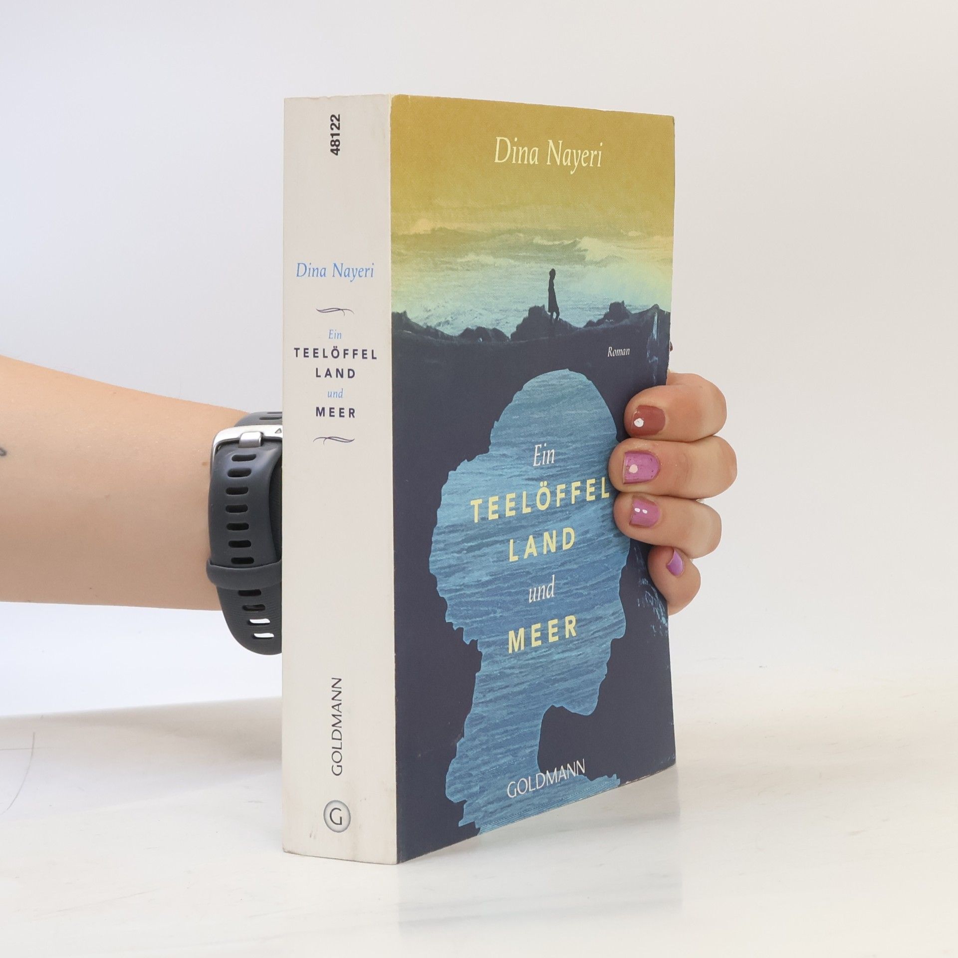 Dina Nayeri Ein Teelöffel Land und Meer