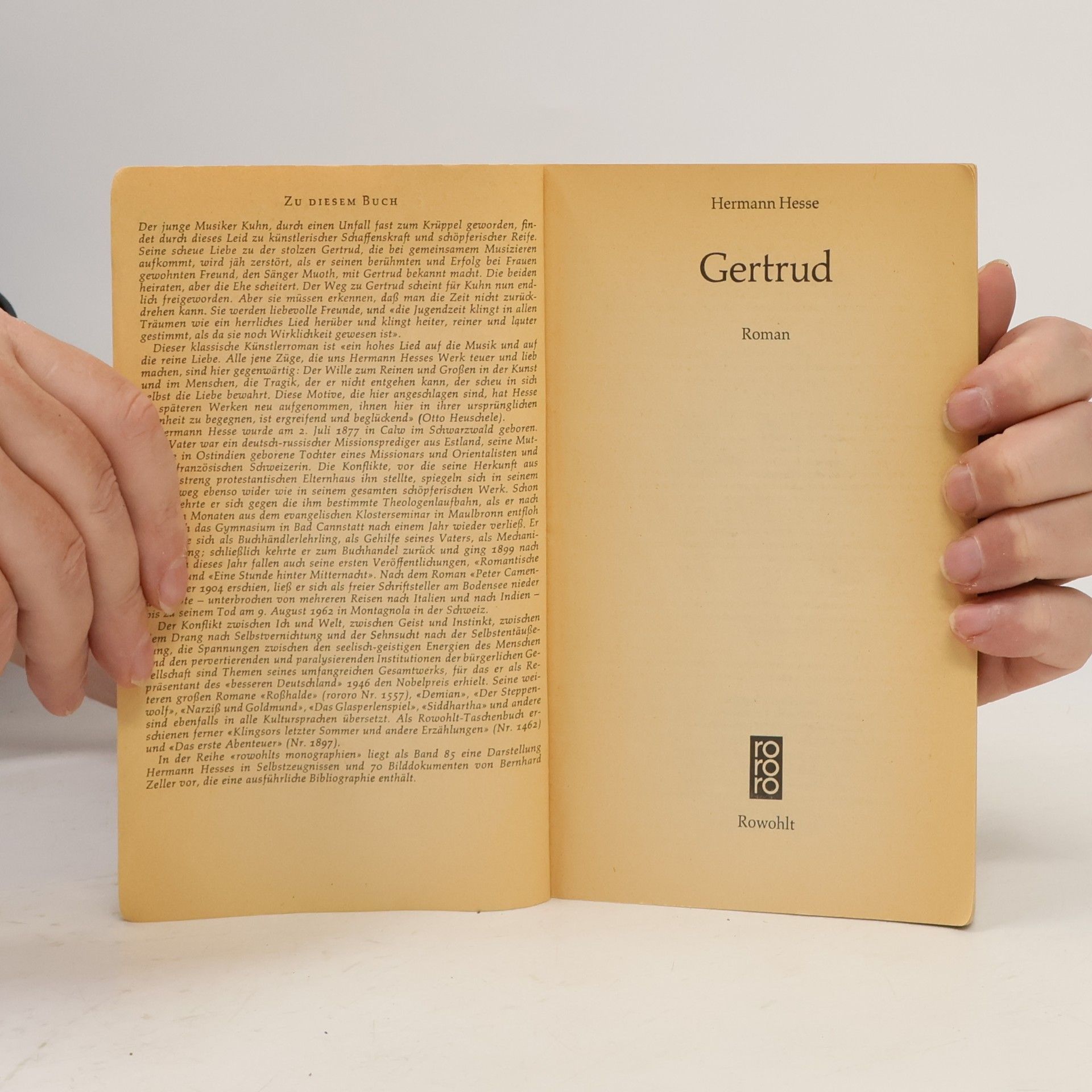 Hermann Hesse Gertrud