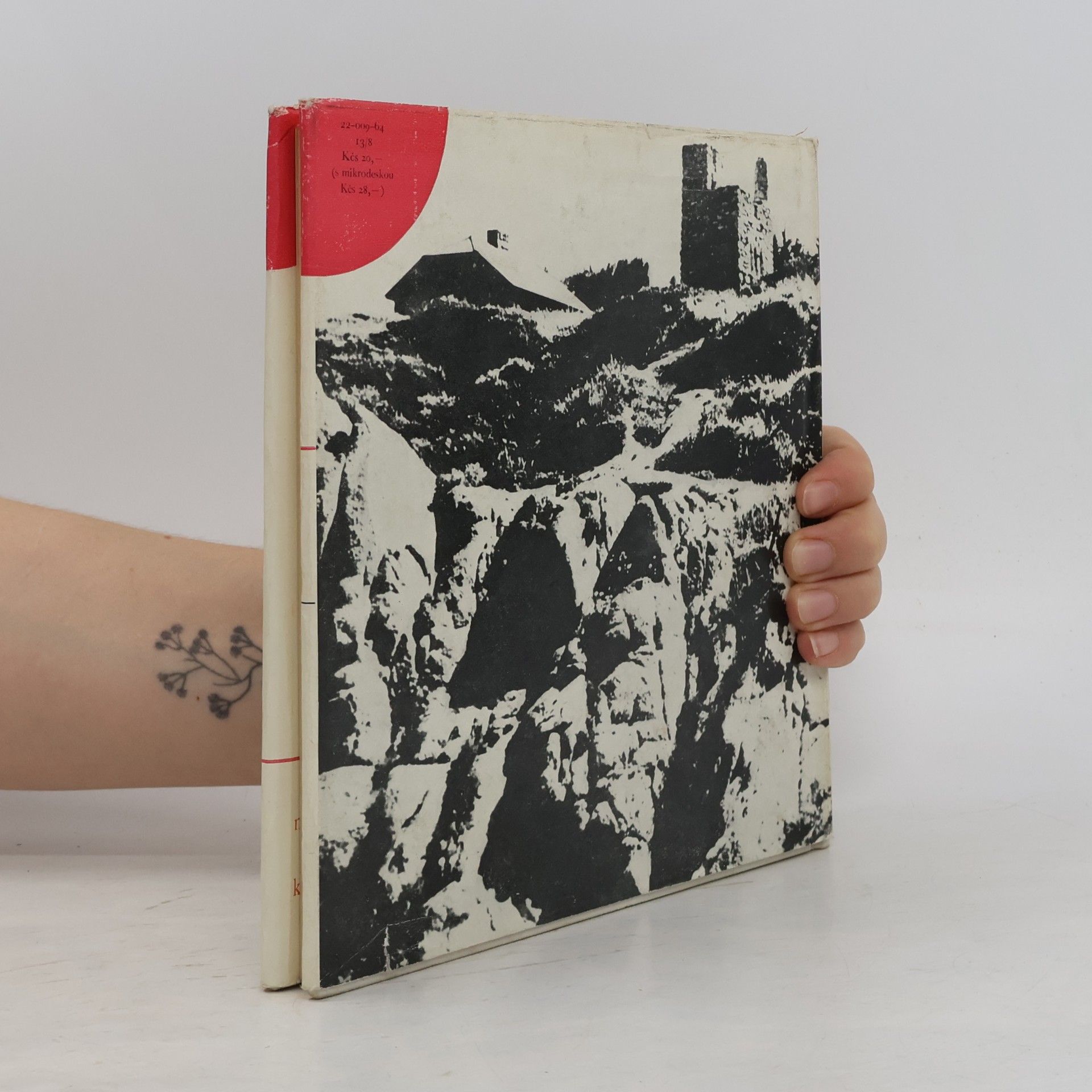 Robinson Jeffers Básně z Jestřábí věže