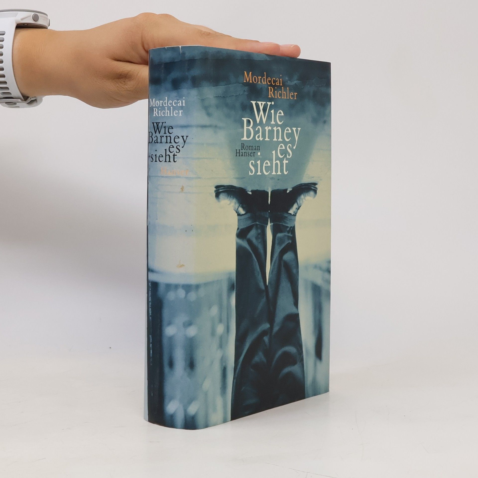 Isaac Bashevis Singer Schatten über dem Hudson