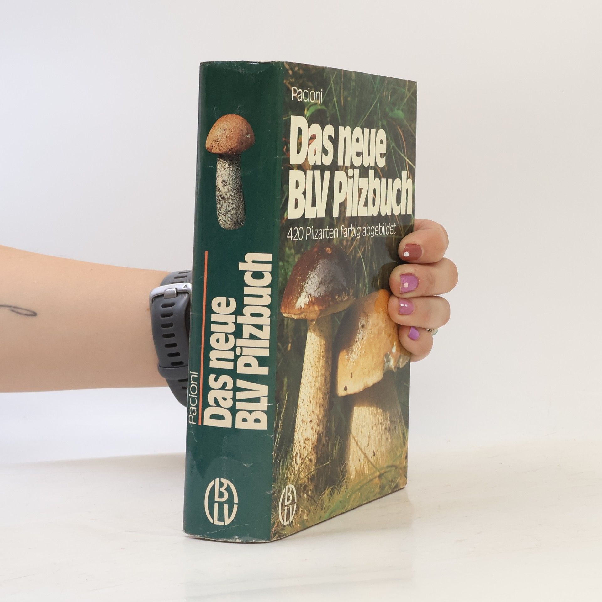 Giovanni Pacioni Das neue BLV-Pilzbuch