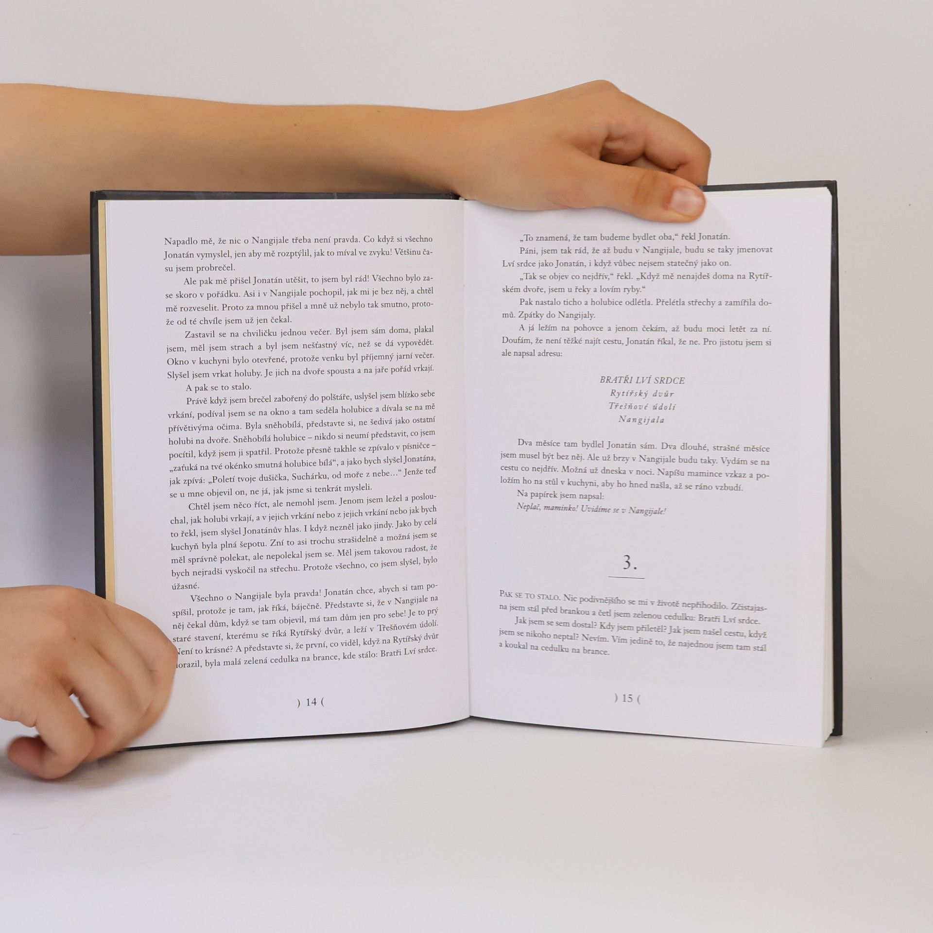 Astrid Lindgren Bratři Lví srdce