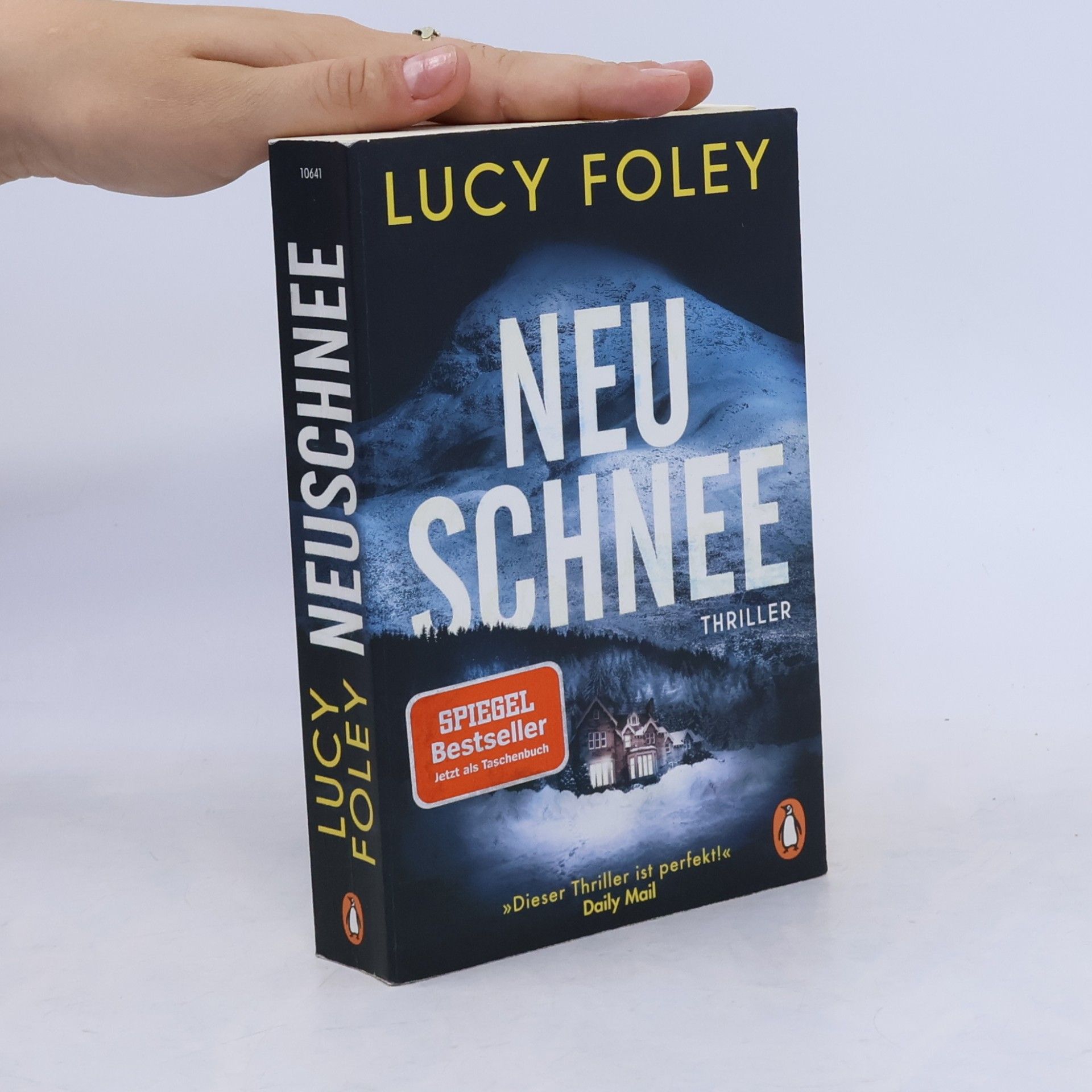 Lucy Foley Neuschnee