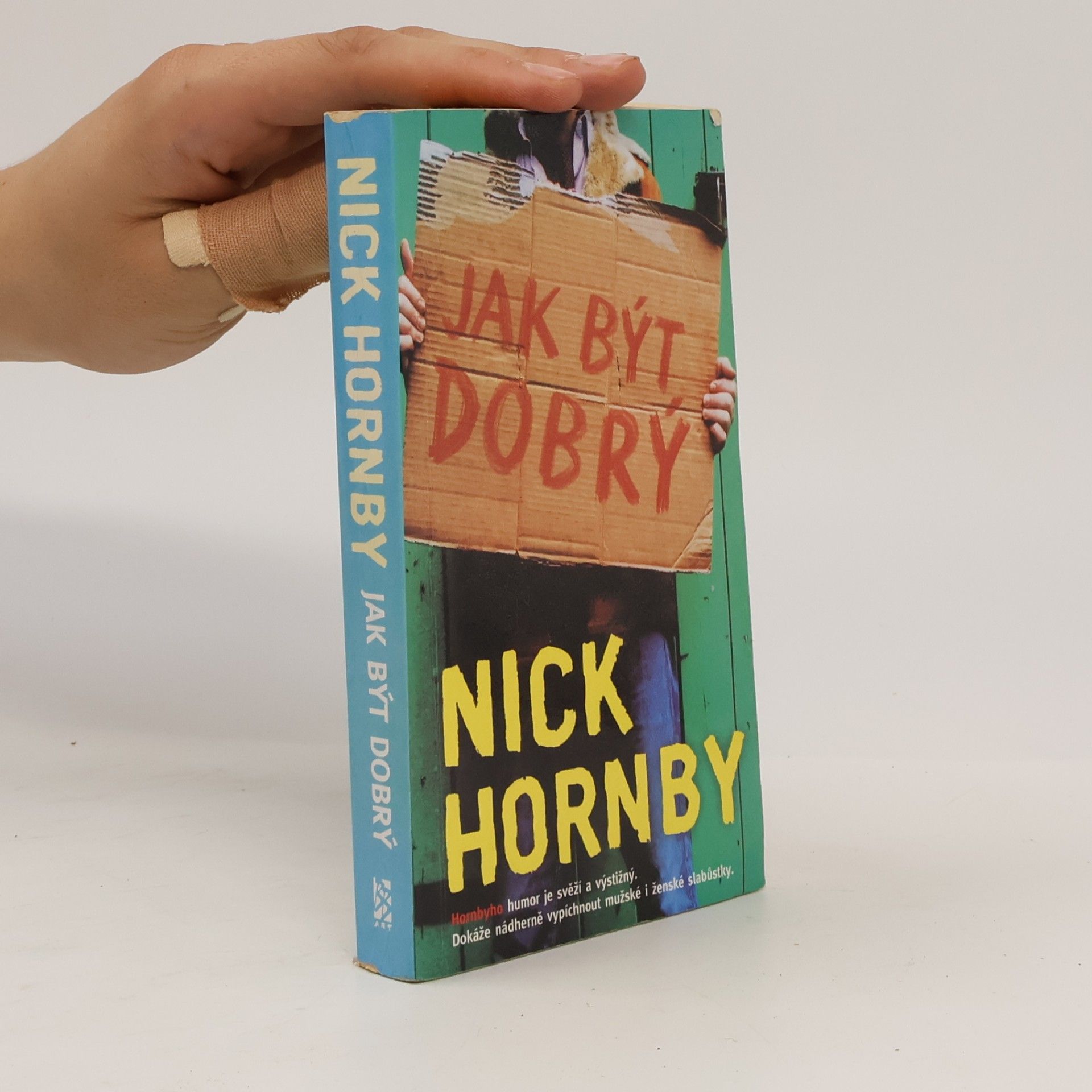 Nick Hornby Jak být dobrý