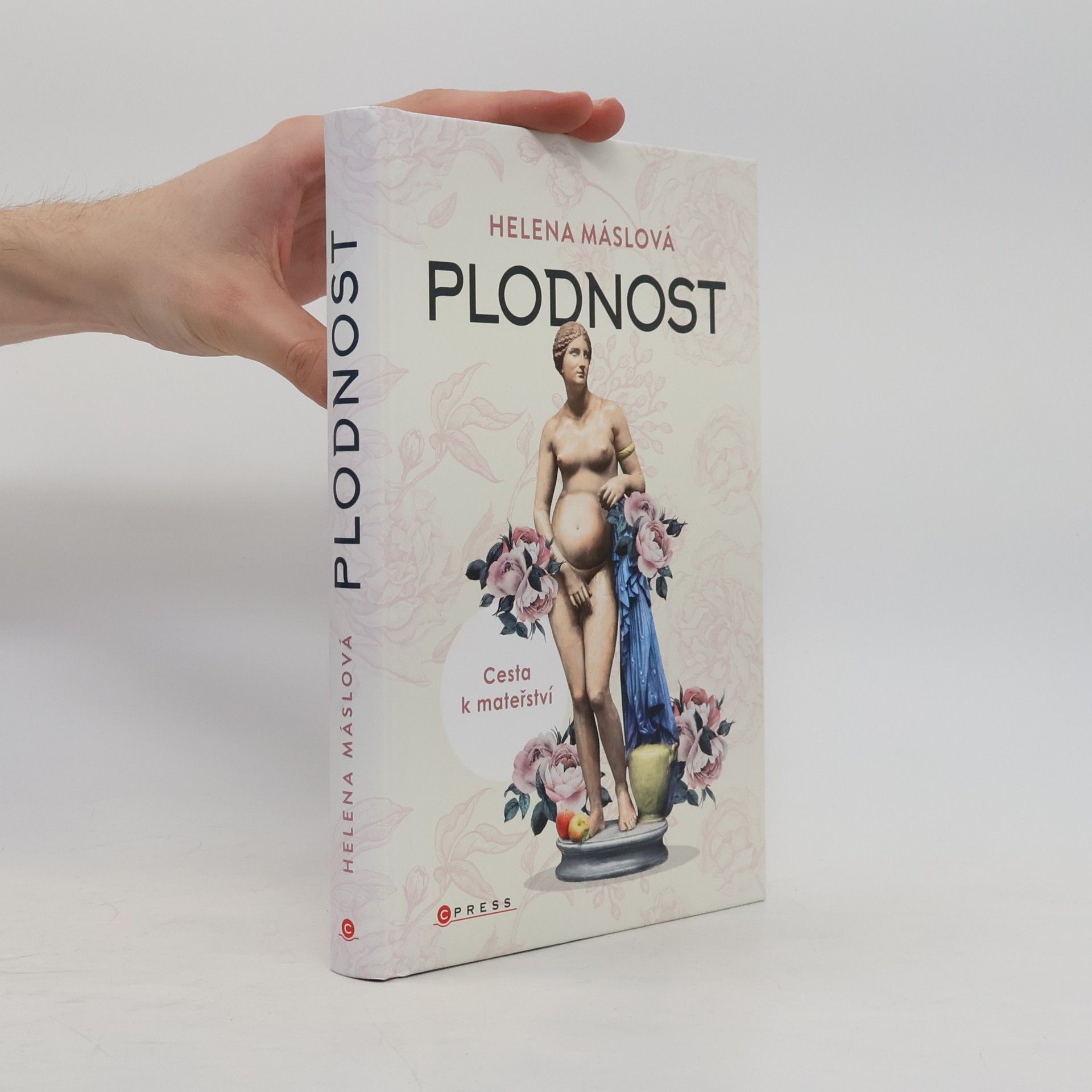 Helena Máslová Plodnost : cesta k mateřství