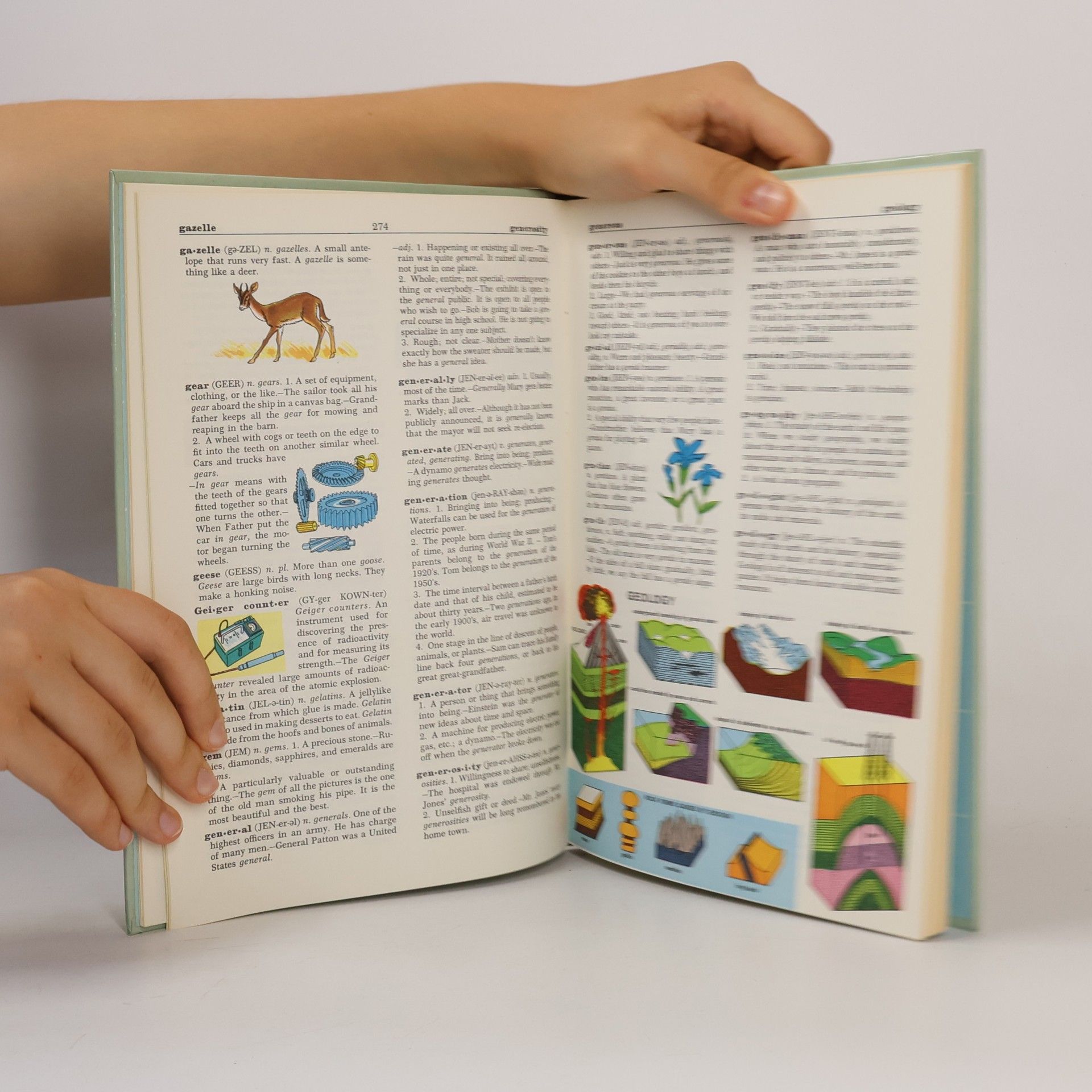 Stuart A. Courtis The Golden Book Illustated Dictionary 3