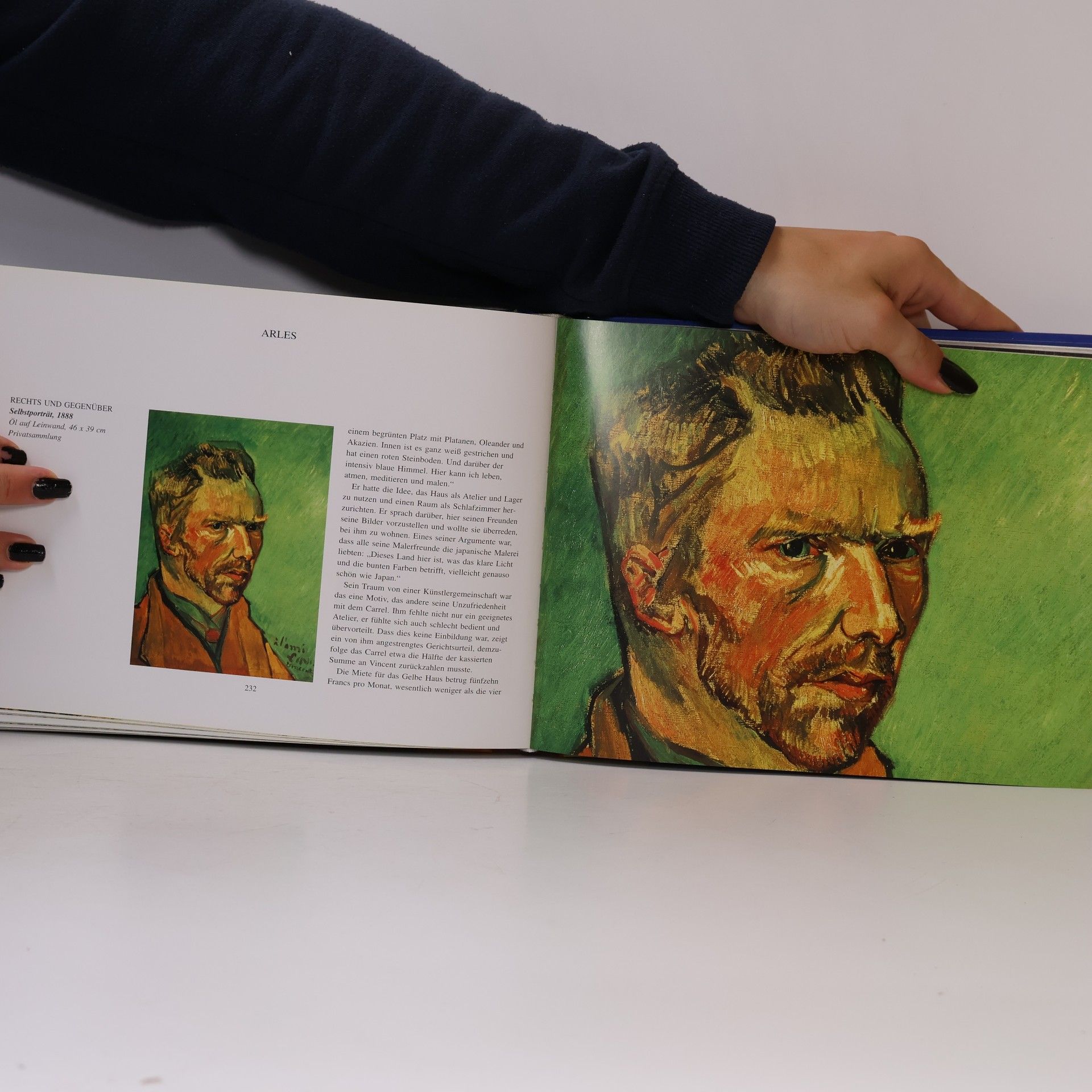 Neil Grant Van Gogh