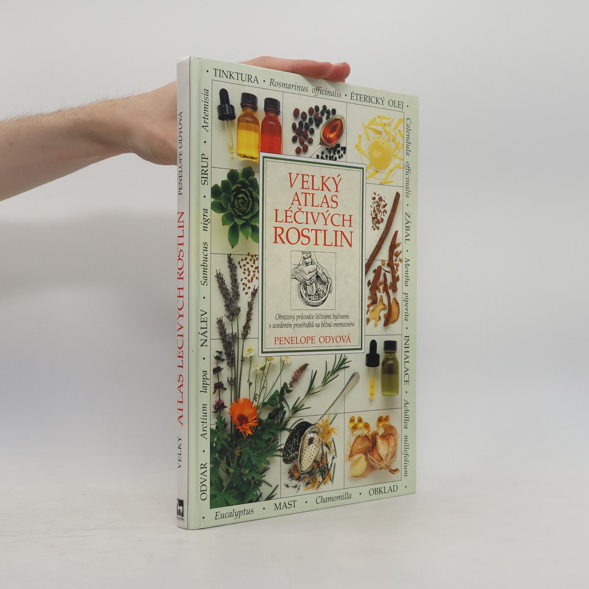 Pénélope Ody Velký atlas léčivých rostlin