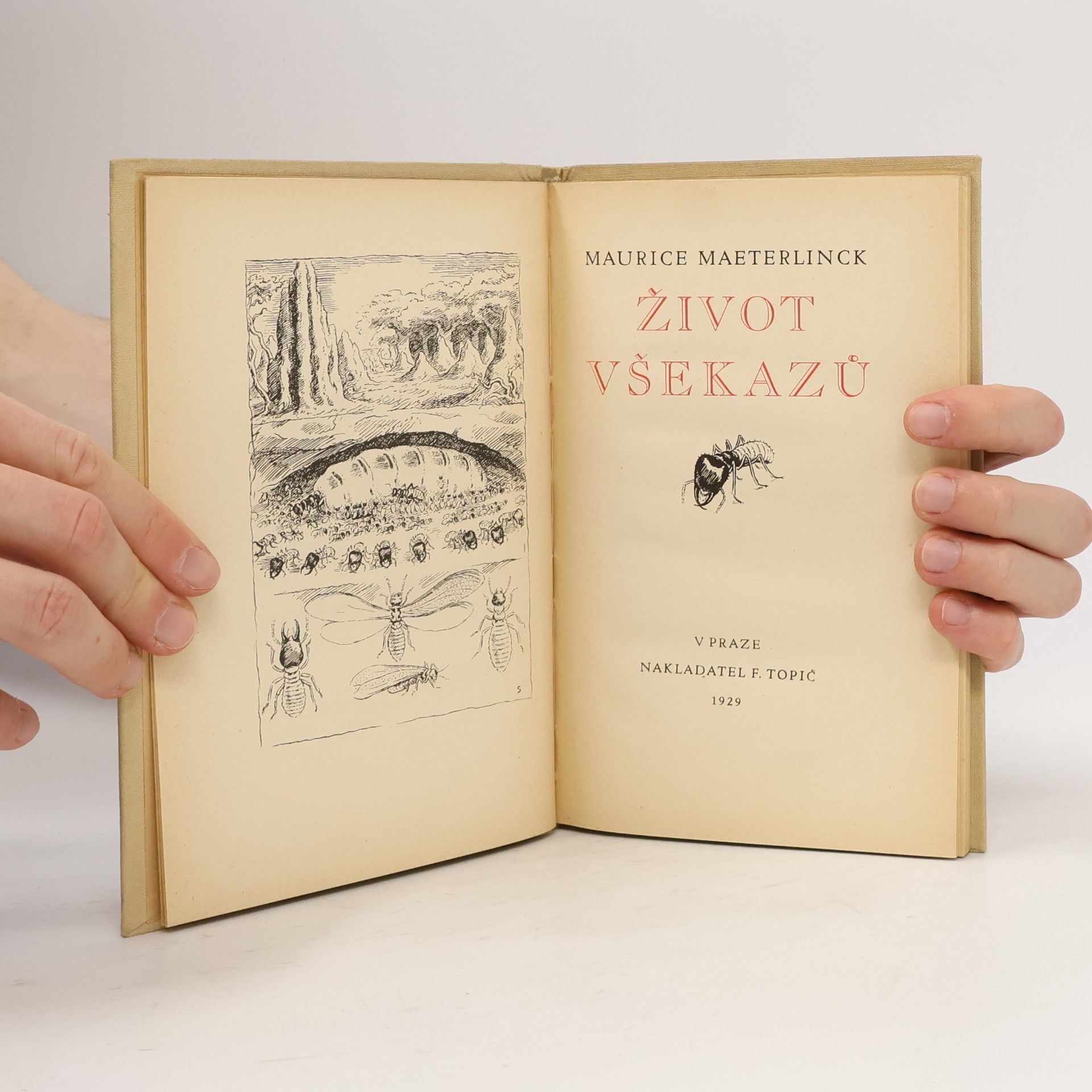 Maurice Maeterlinck Život všekazů