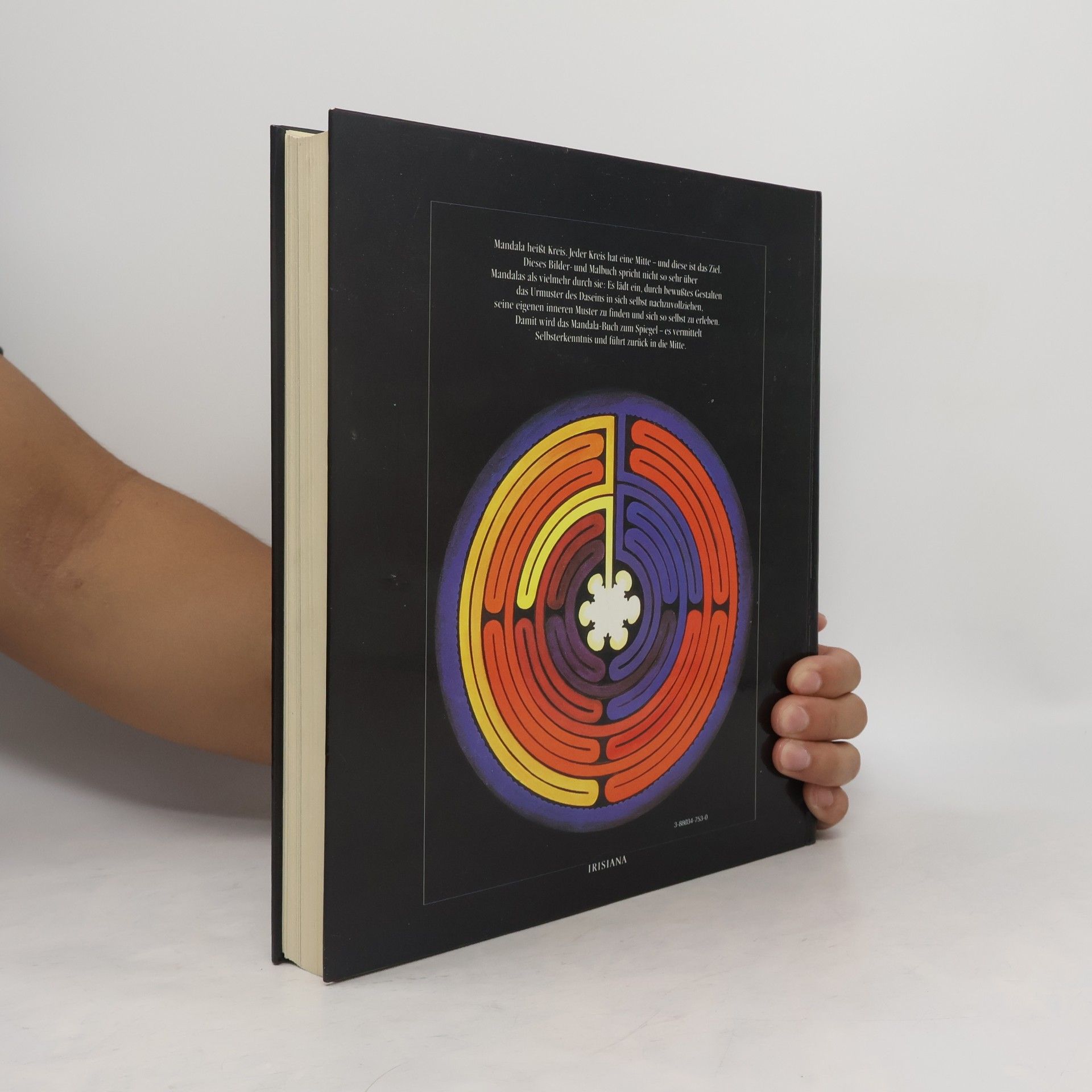 Ruediger Dahlke Mandalas der Welt