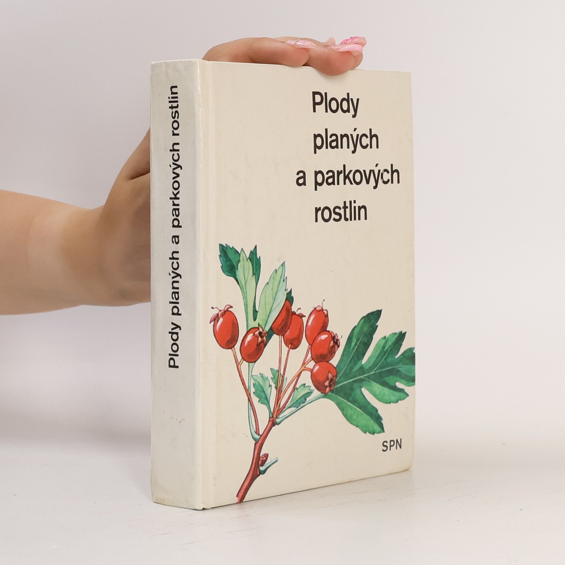 Alois Mikula Plody planých a parkových rostlin. Kapesní atlas