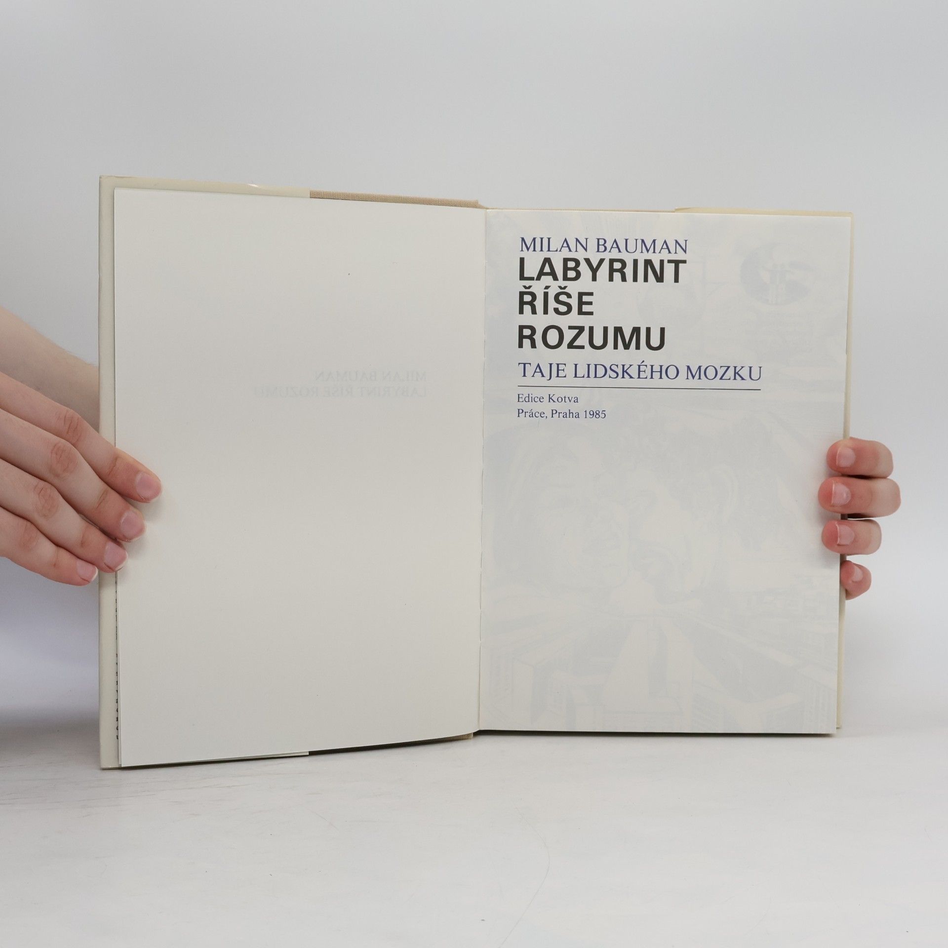 Milan Bauman Labyrint říše rozumu