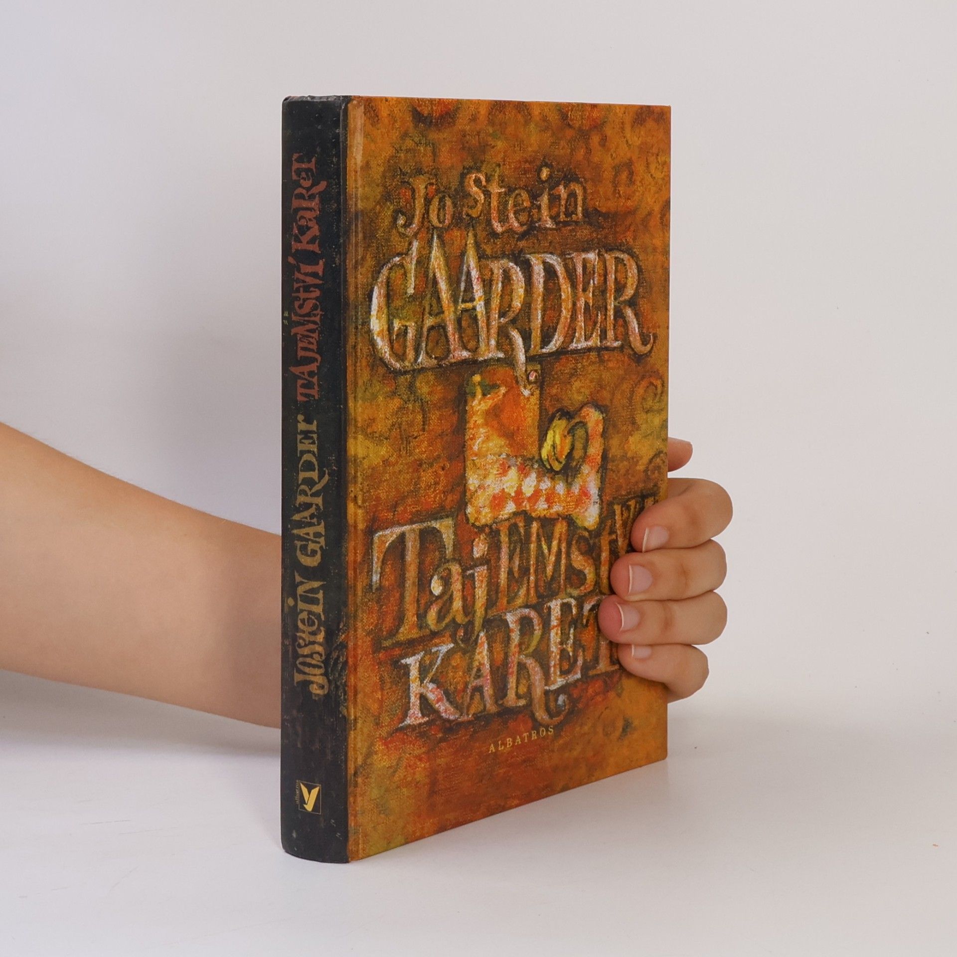 Jostein Gaarder Tajemství karet