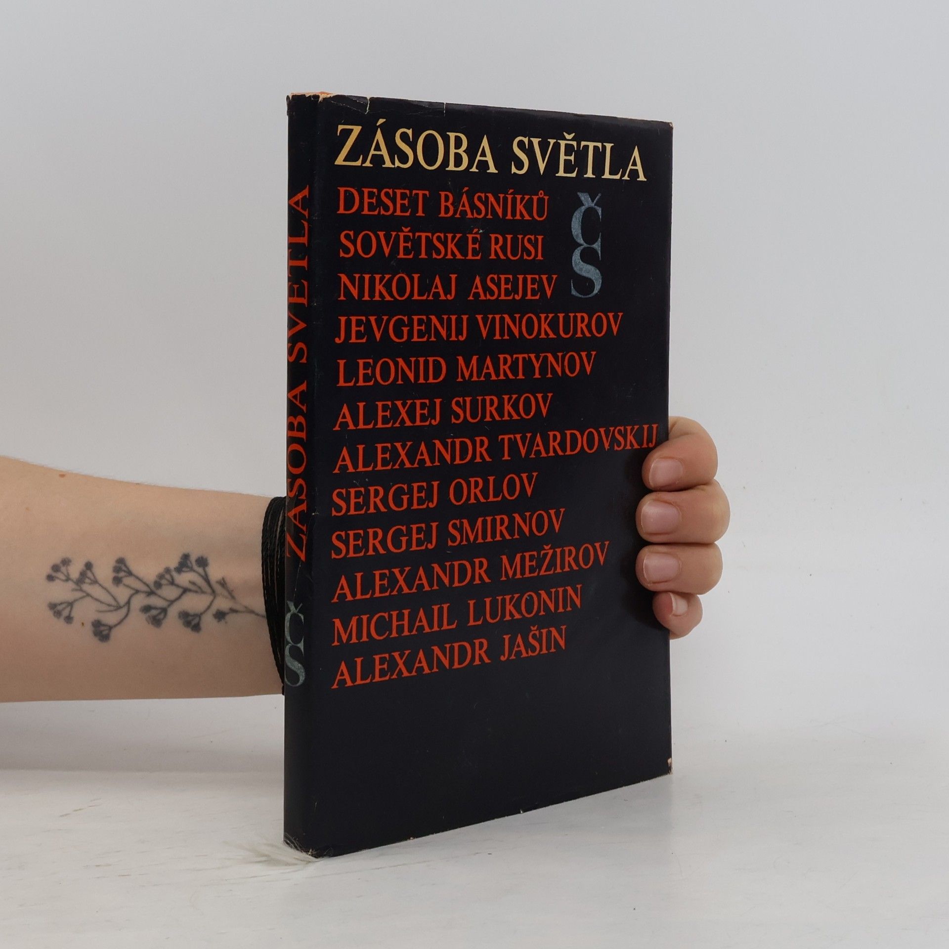 Kolektiv autorů Zásoba světla
