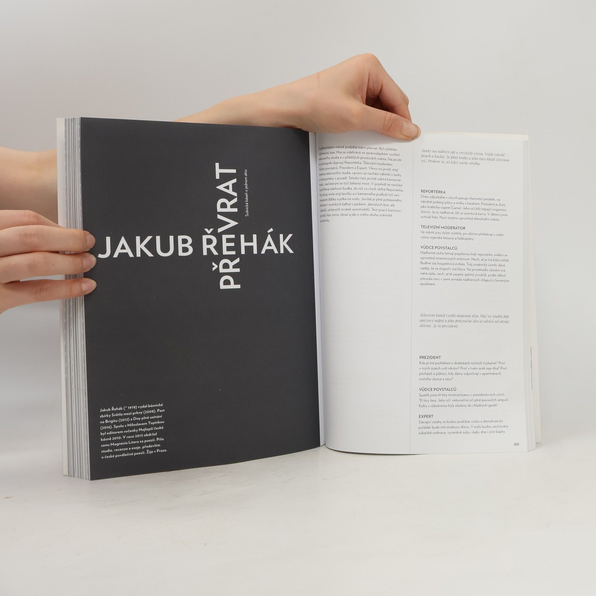 Autorenkollektiv Revue Prostor č. 108 : Křižovatky víry