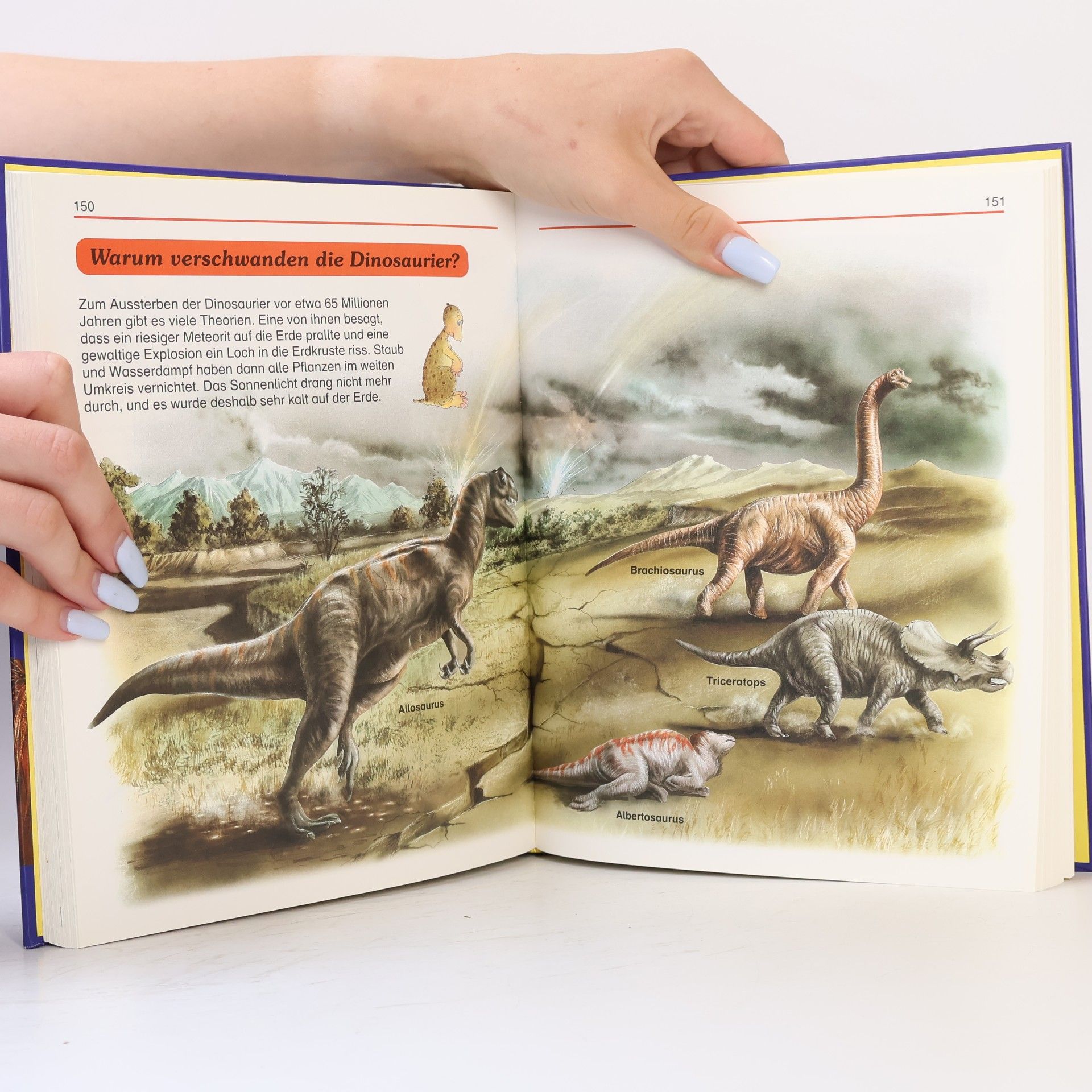 Autorenkollektiv Mein großes Frage- und Antwortbuch