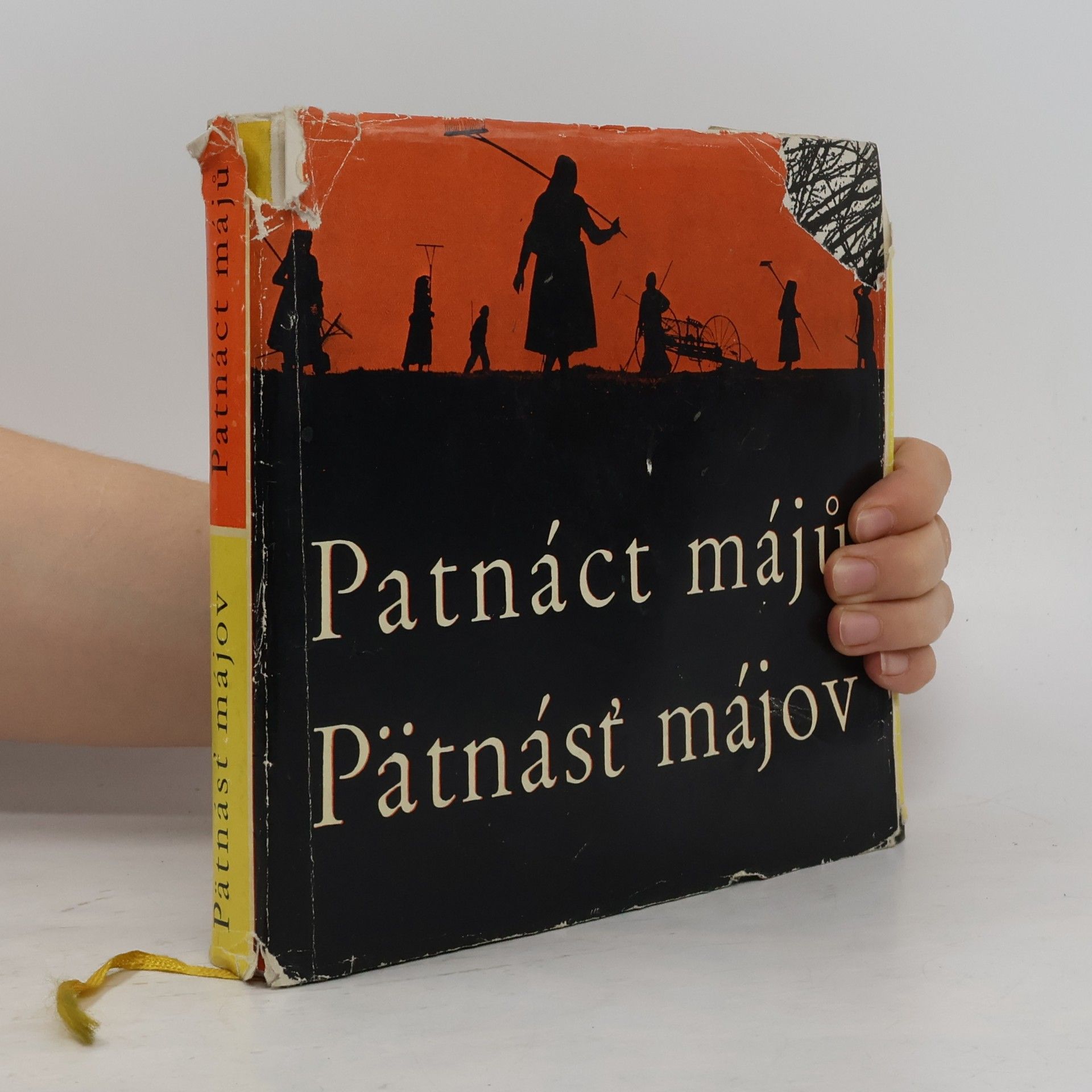 Kolektiv autorů Patnáct májů = Pätnásť májov