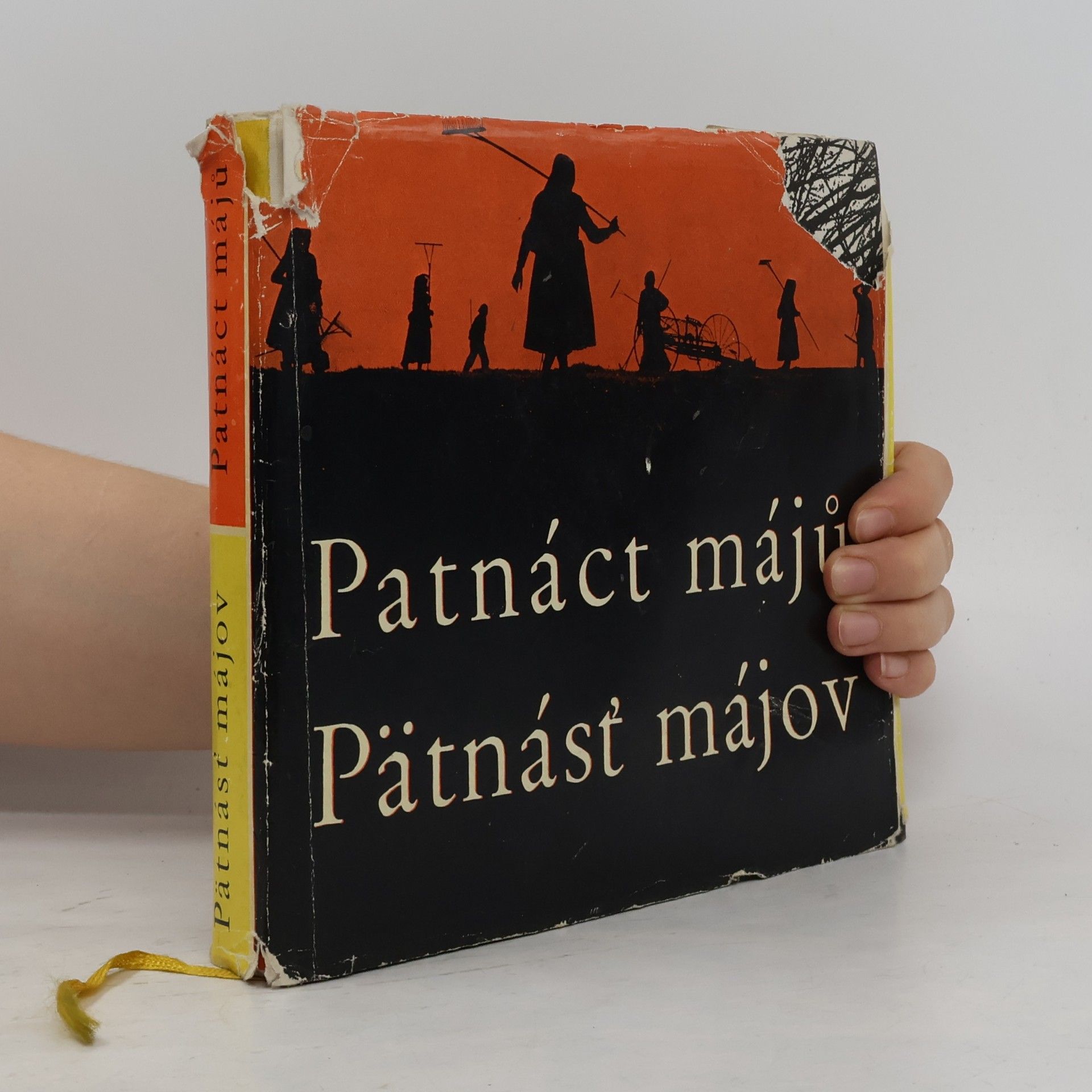 Kolektiv autorů Patnáct májů = Pätnásť májov