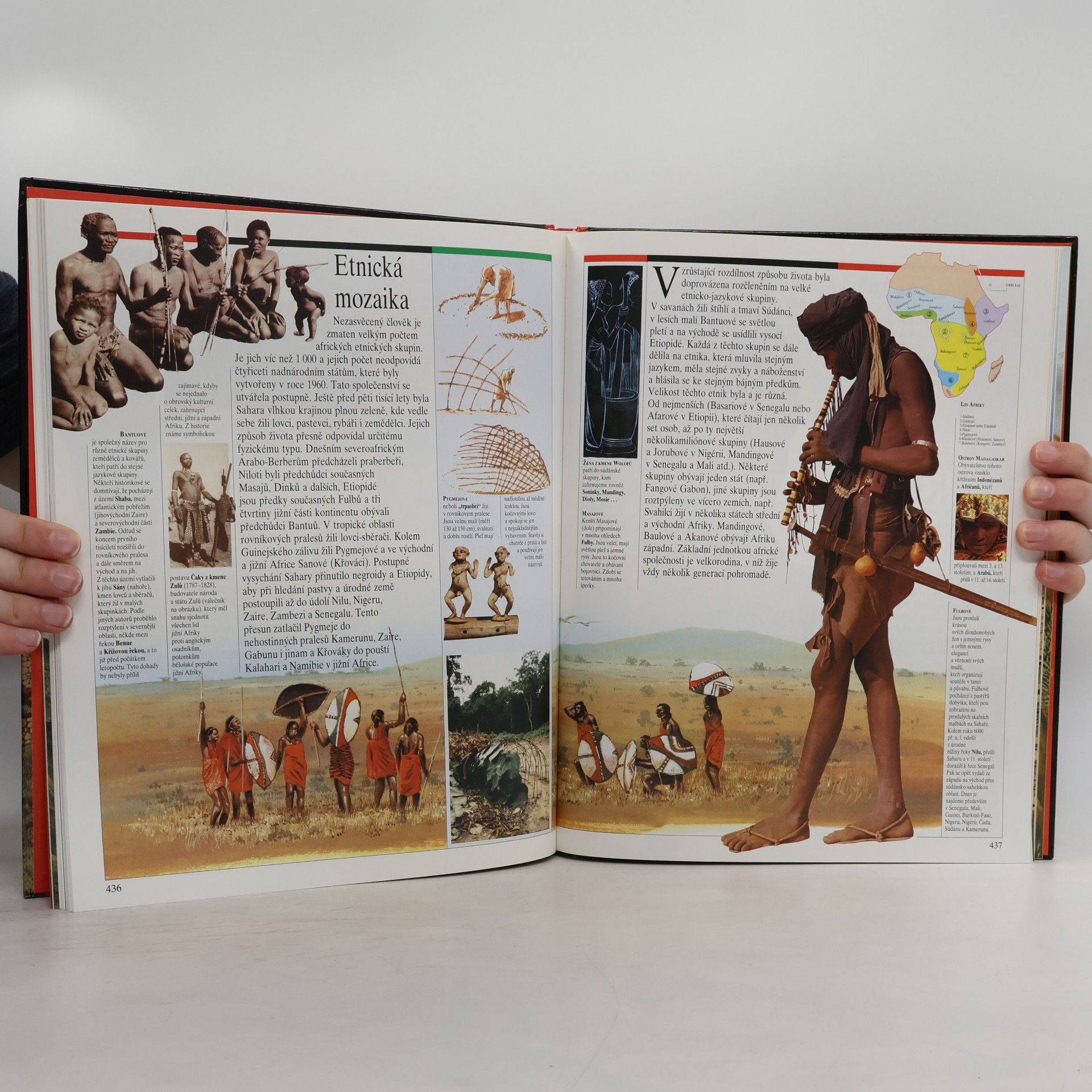 Various authors Ilustrované dějiny světa 5. Staré civilizace