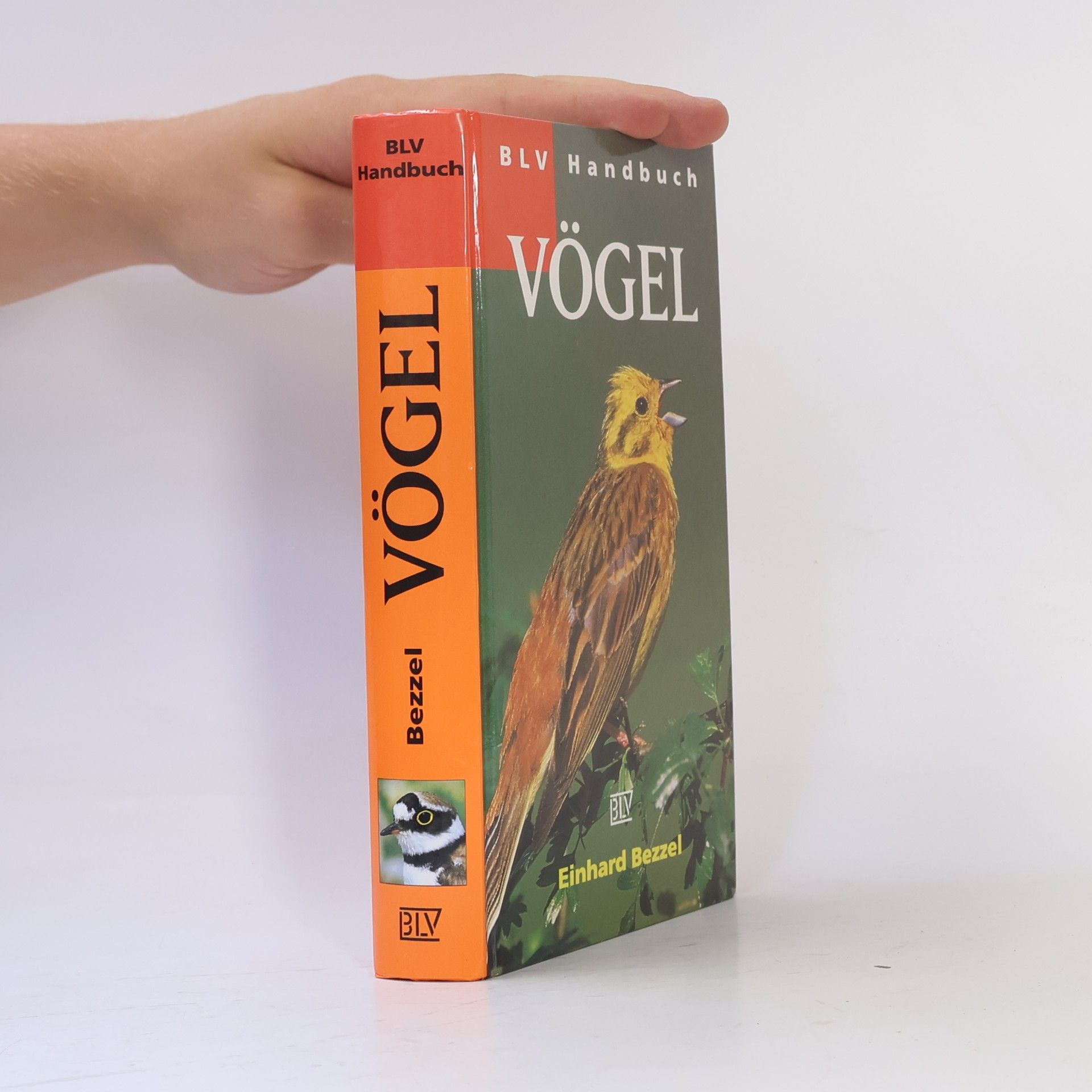 Einhard Bezzel BLV-Handbuch Vögel