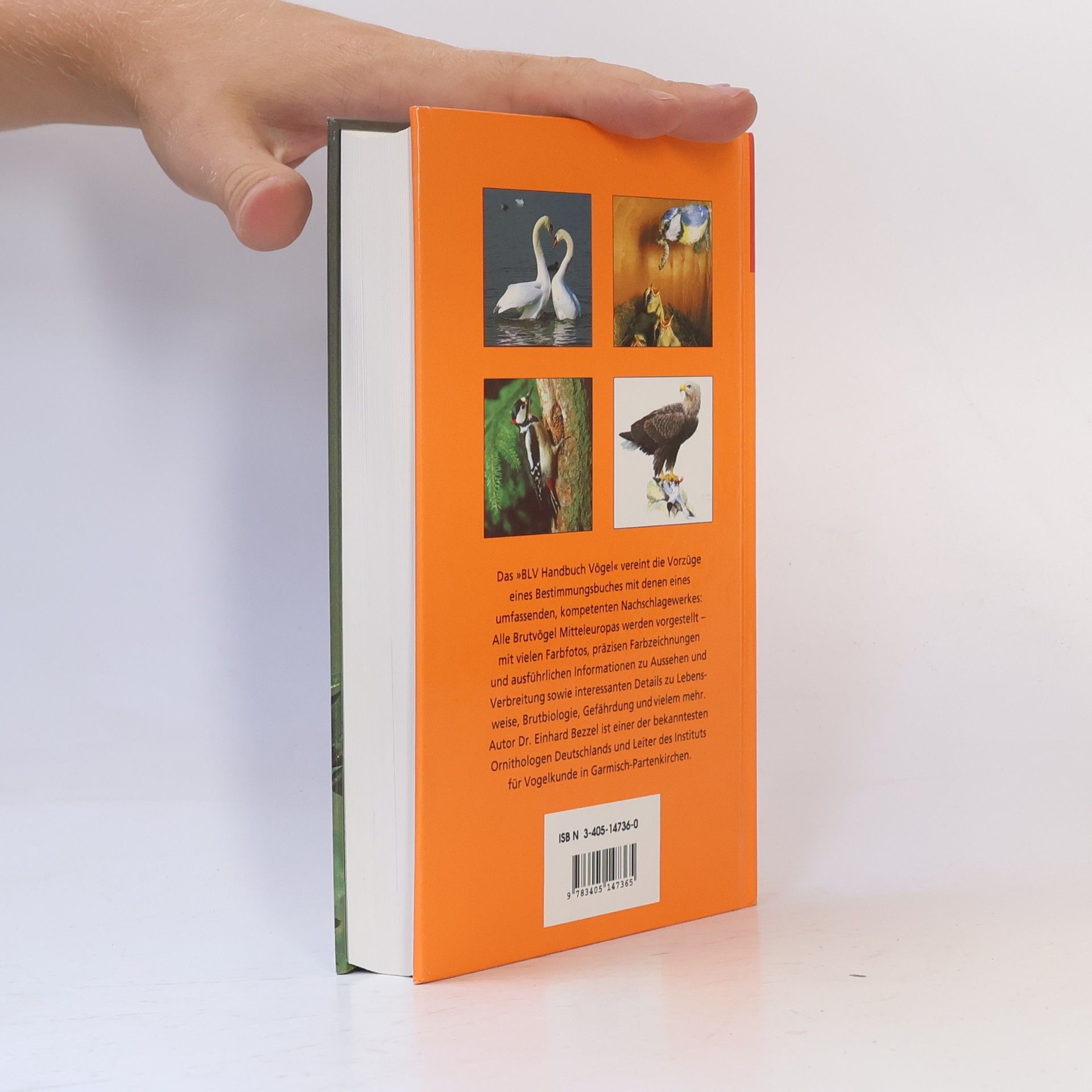 Einhard Bezzel BLV-Handbuch Vögel