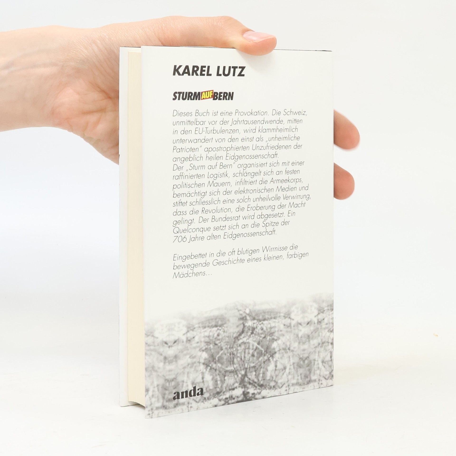 Karel Lutz Sturm auf Bern