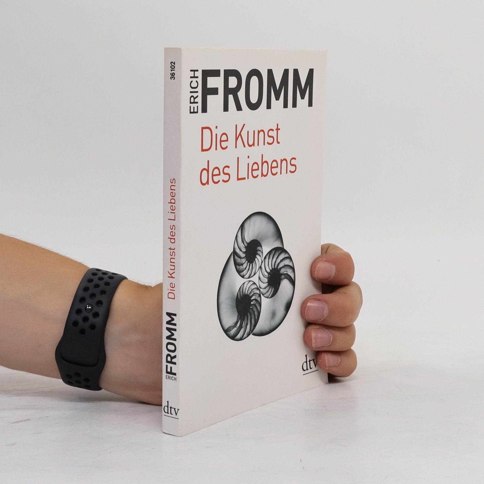 Erich Fromm Die Kunst des Liebens