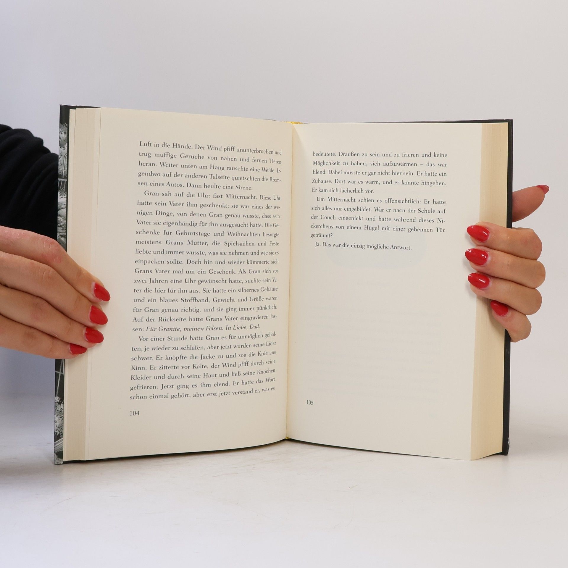 Dave Eggers Die Mitternachtstür