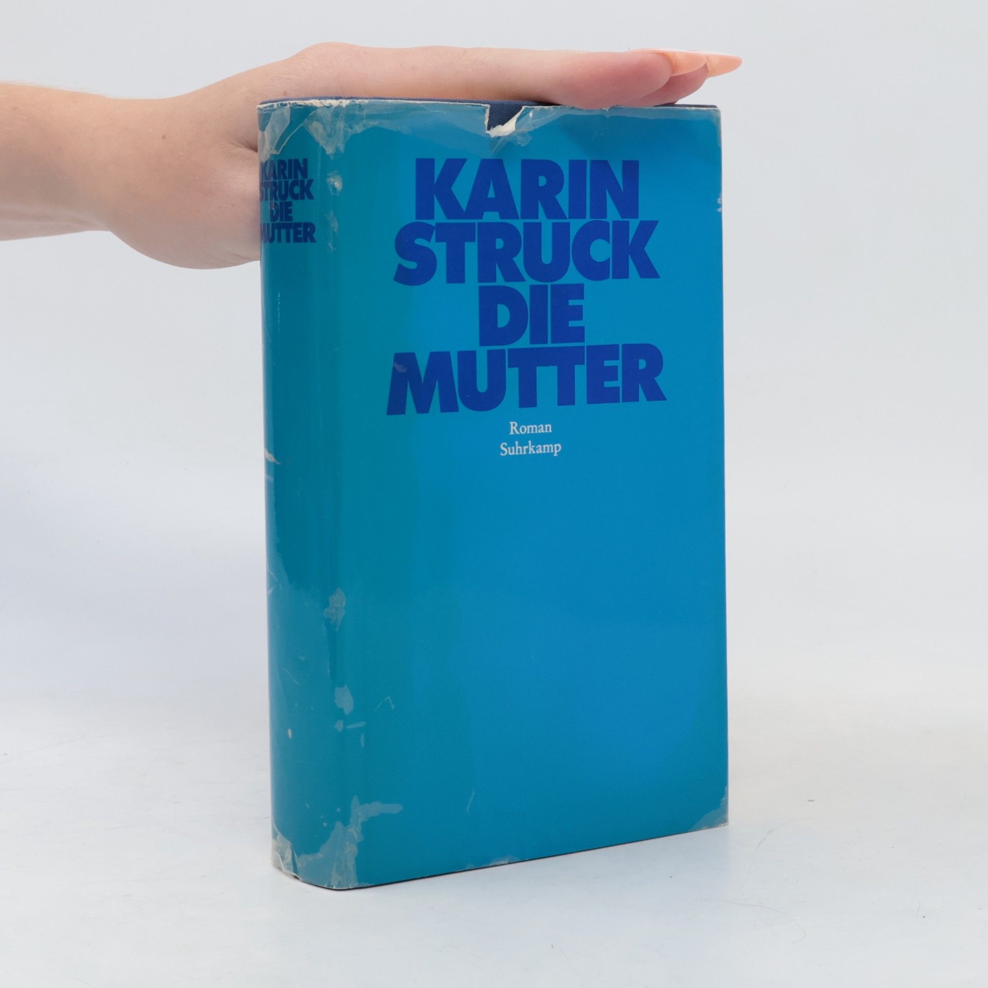 Karin Struck Die Mutter