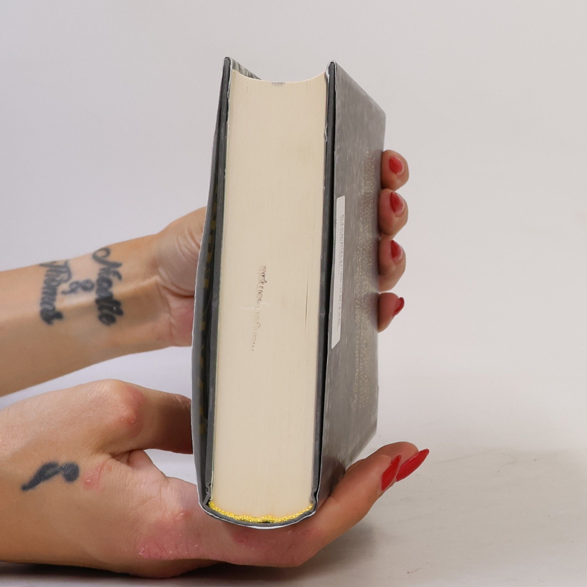 Dave Eggers Die Mitternachtstür