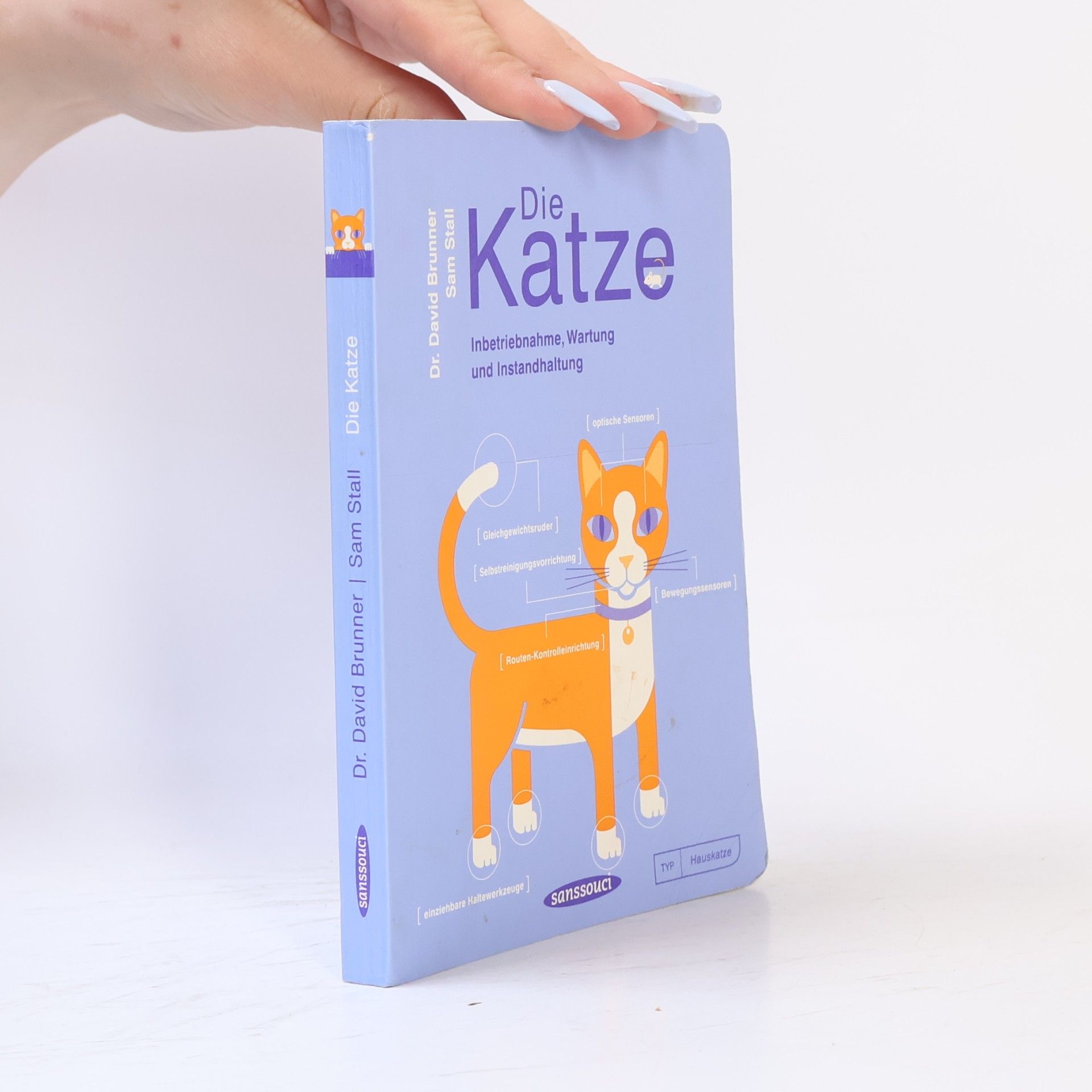David Brunner Die Katze