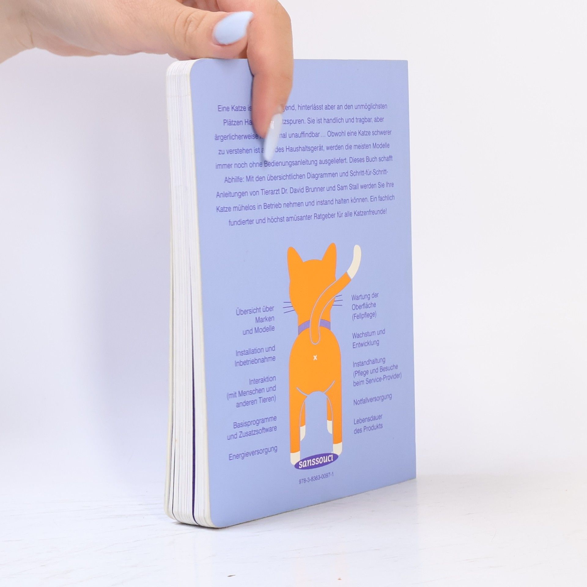 David Brunner Die Katze