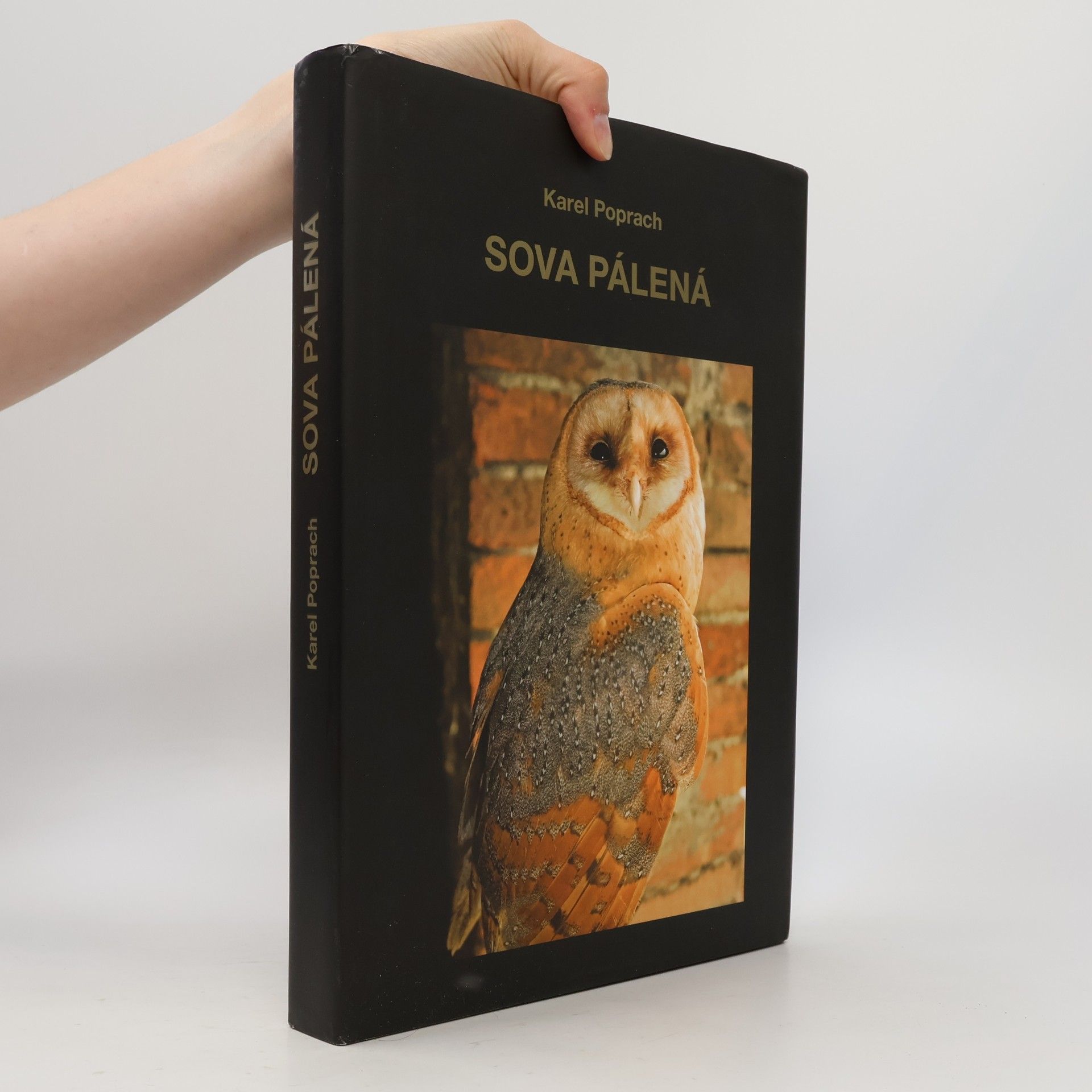 Karel Poprach Sova pálená