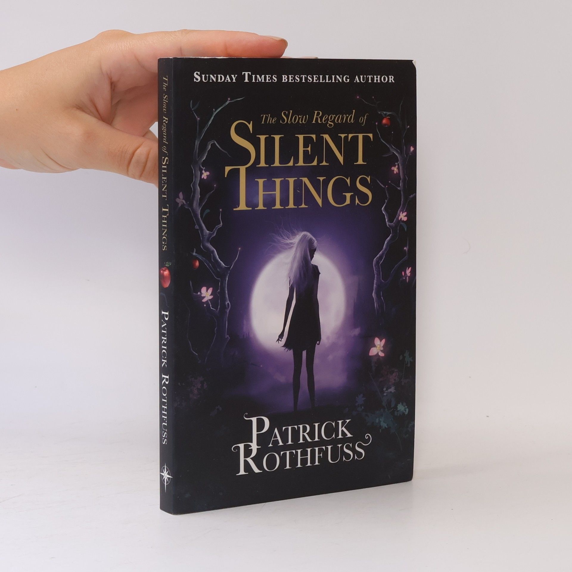 Patrick Rothfuss The Slow Regard of Silent Things