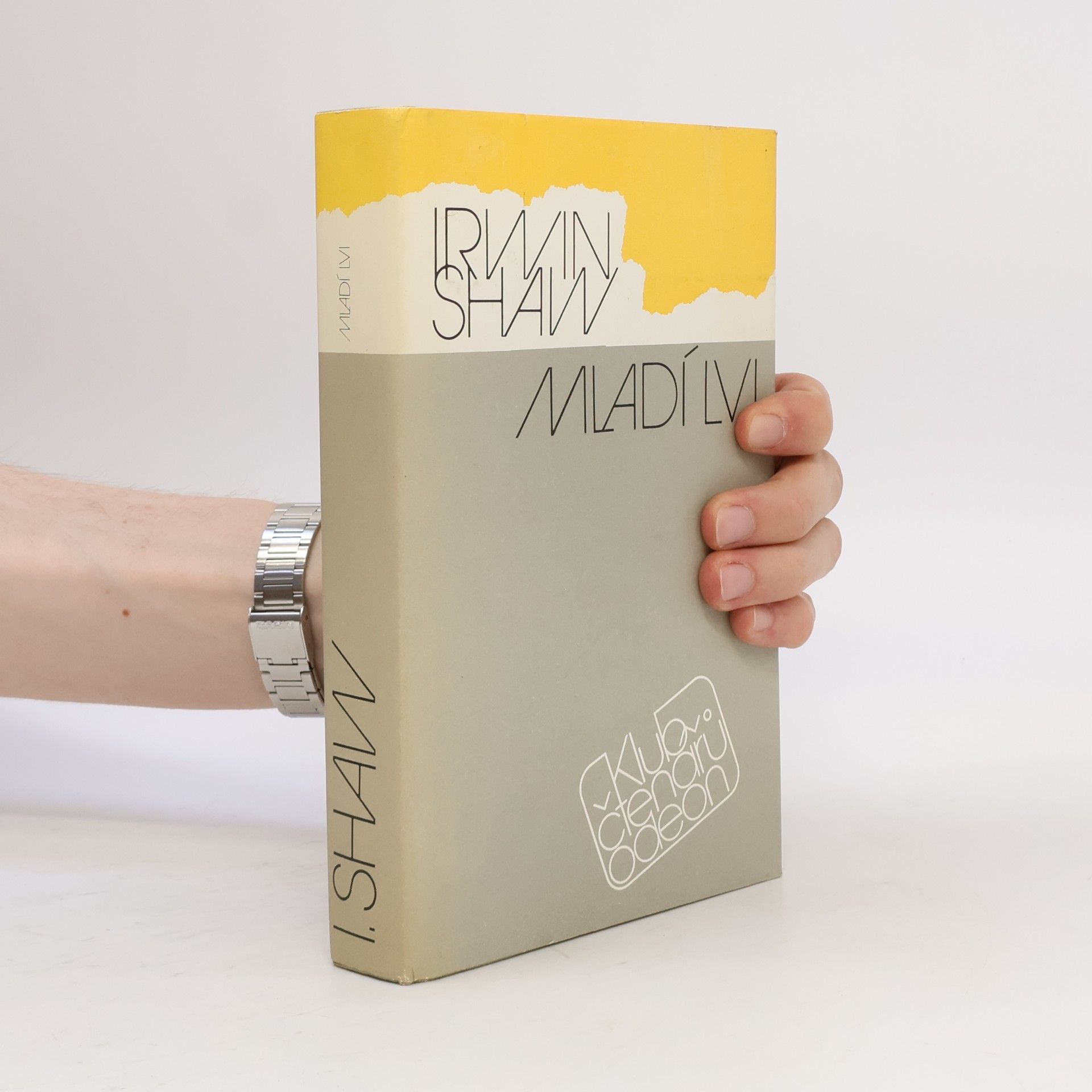 Irwin Shaw Mladí lvi