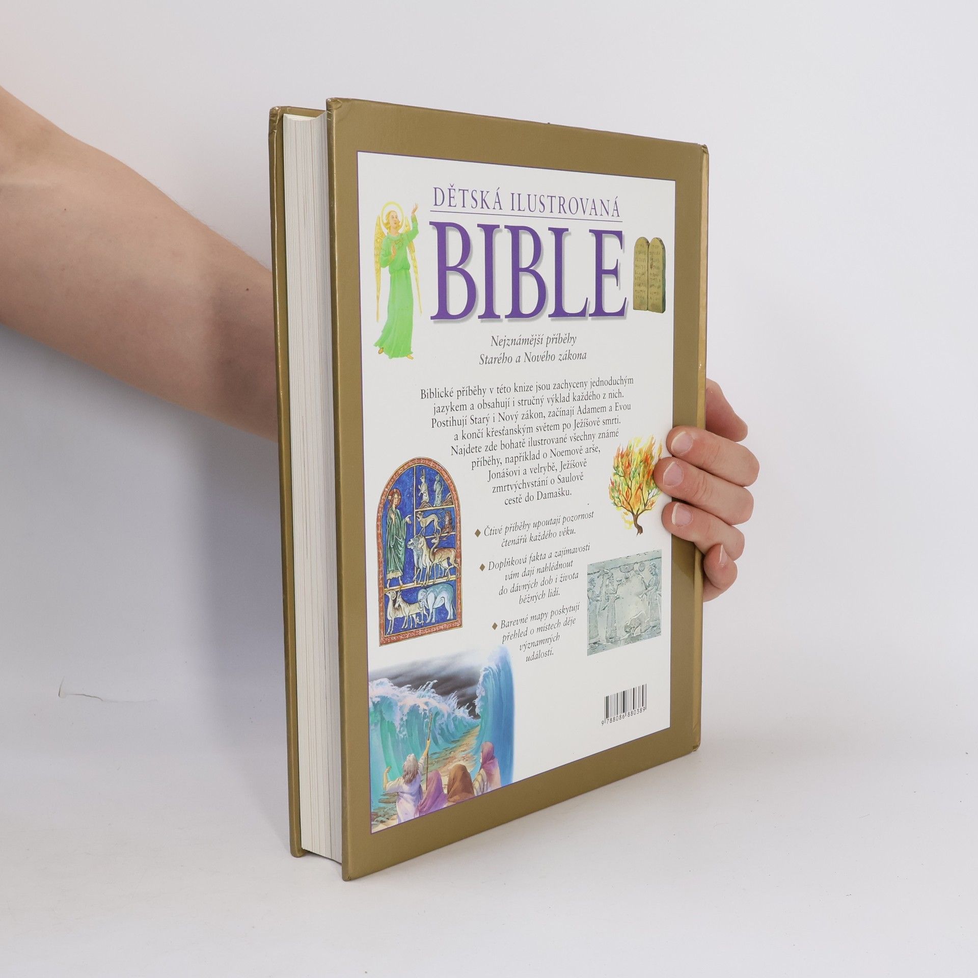 Janet Dyson Dětská ilustrovaná Bible